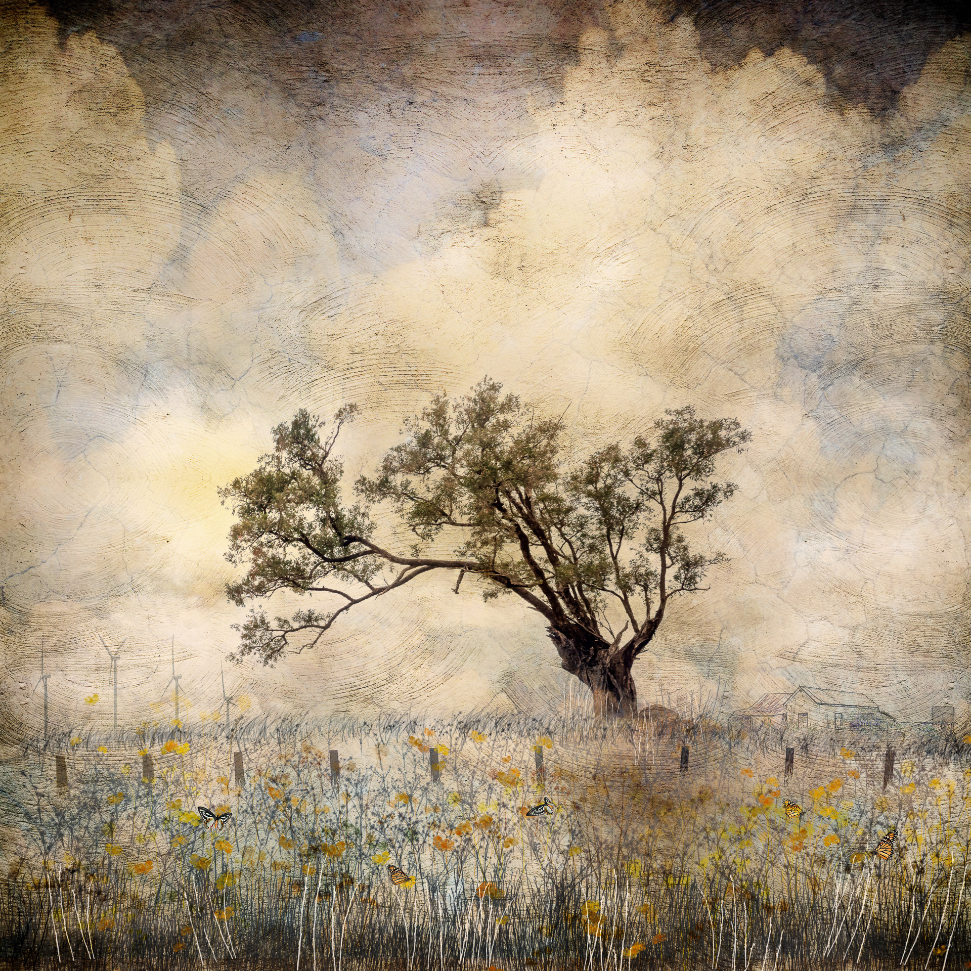 Longing for Spring