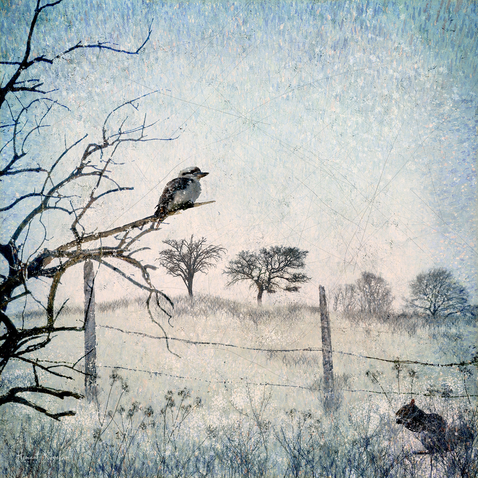 Bird on a branch