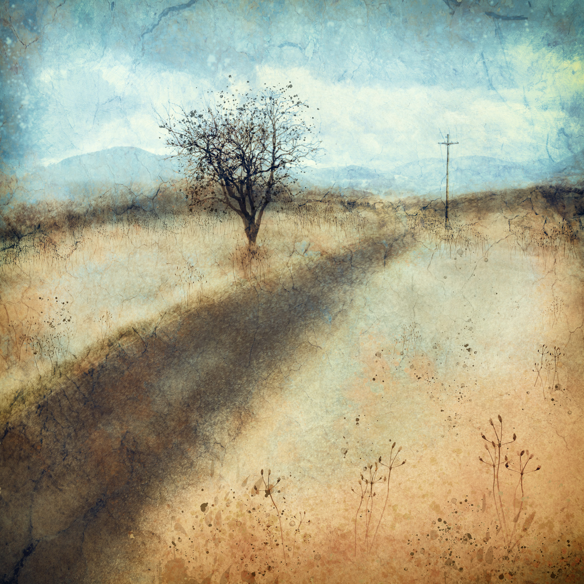 Long Country Road