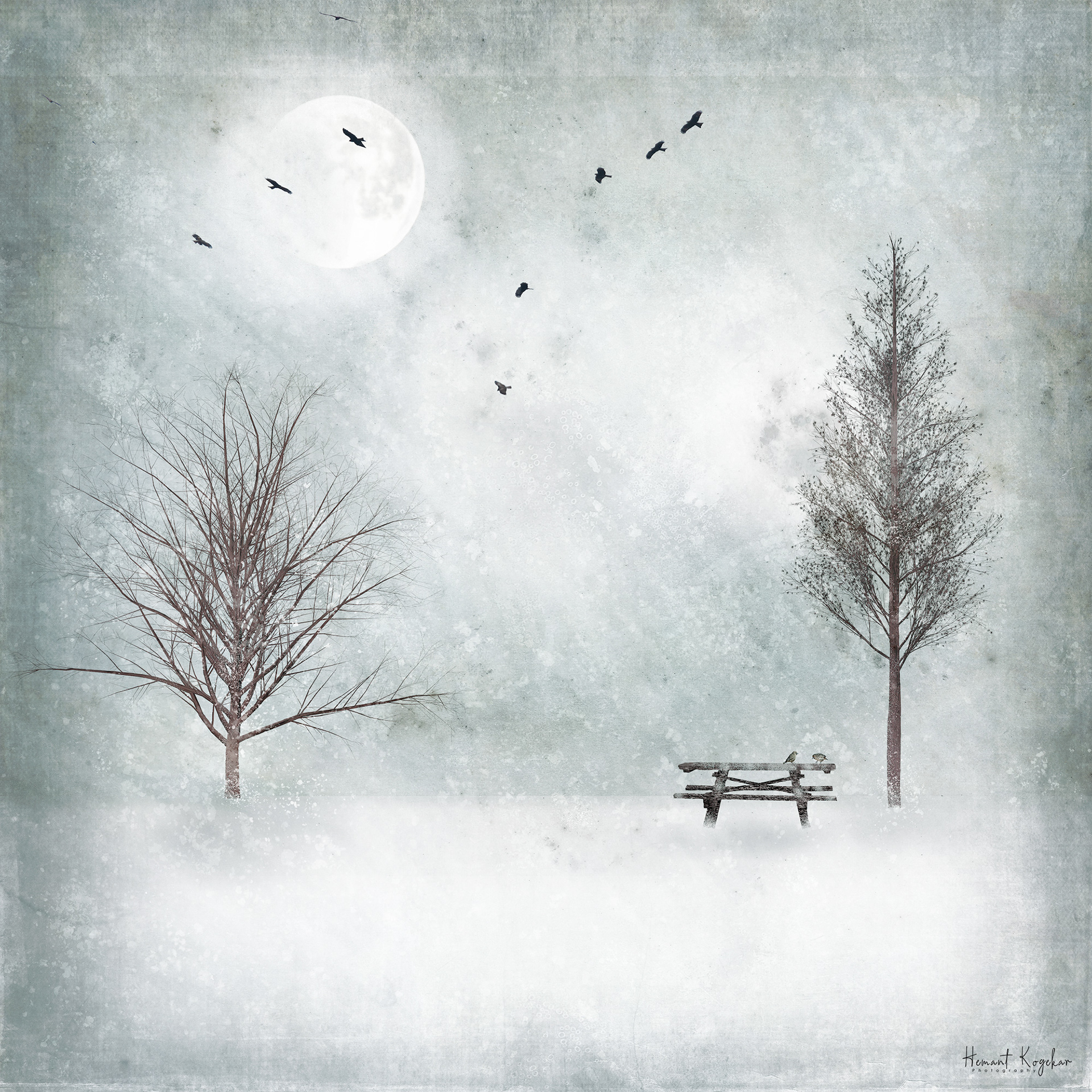 A place of solitude