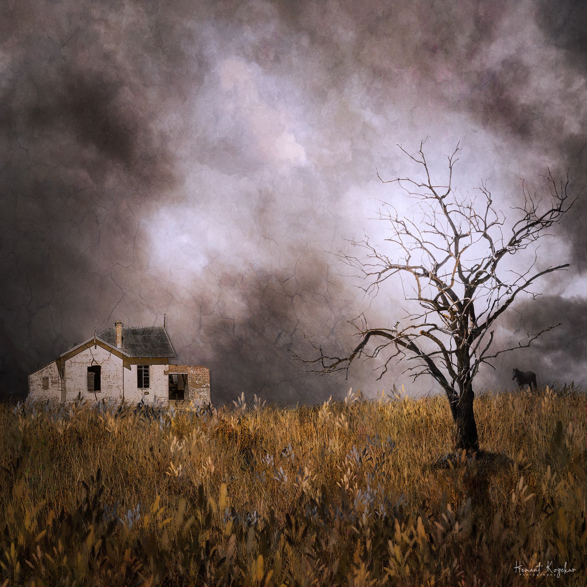 Foreboding