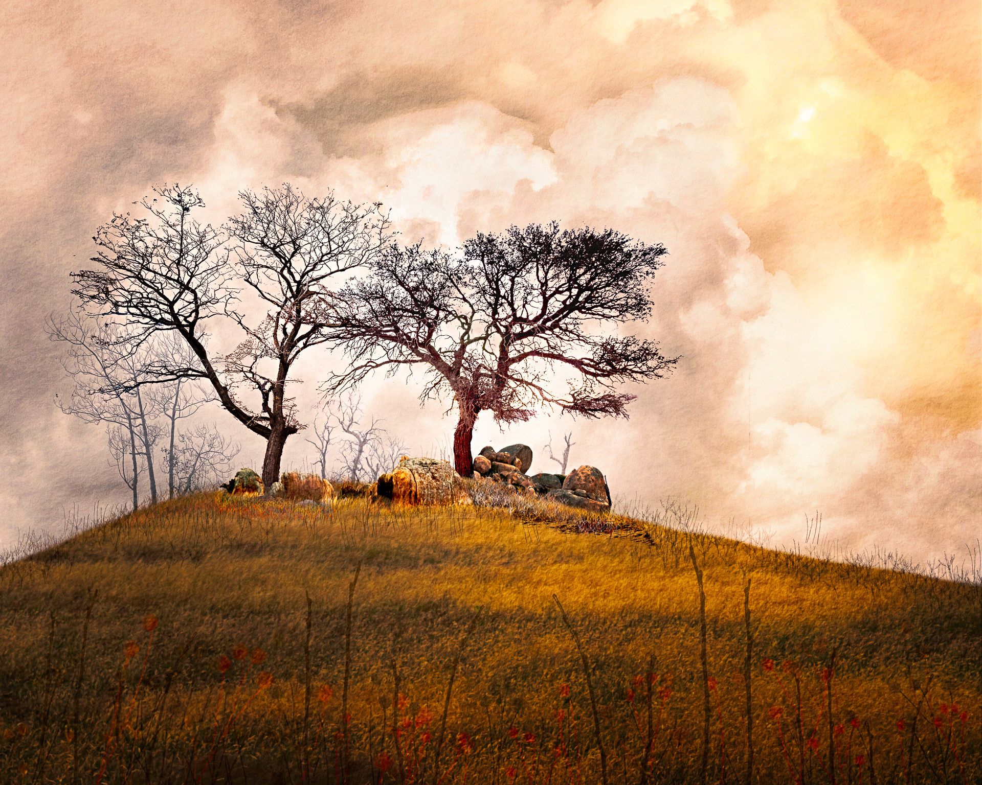 Two trees at sunset
