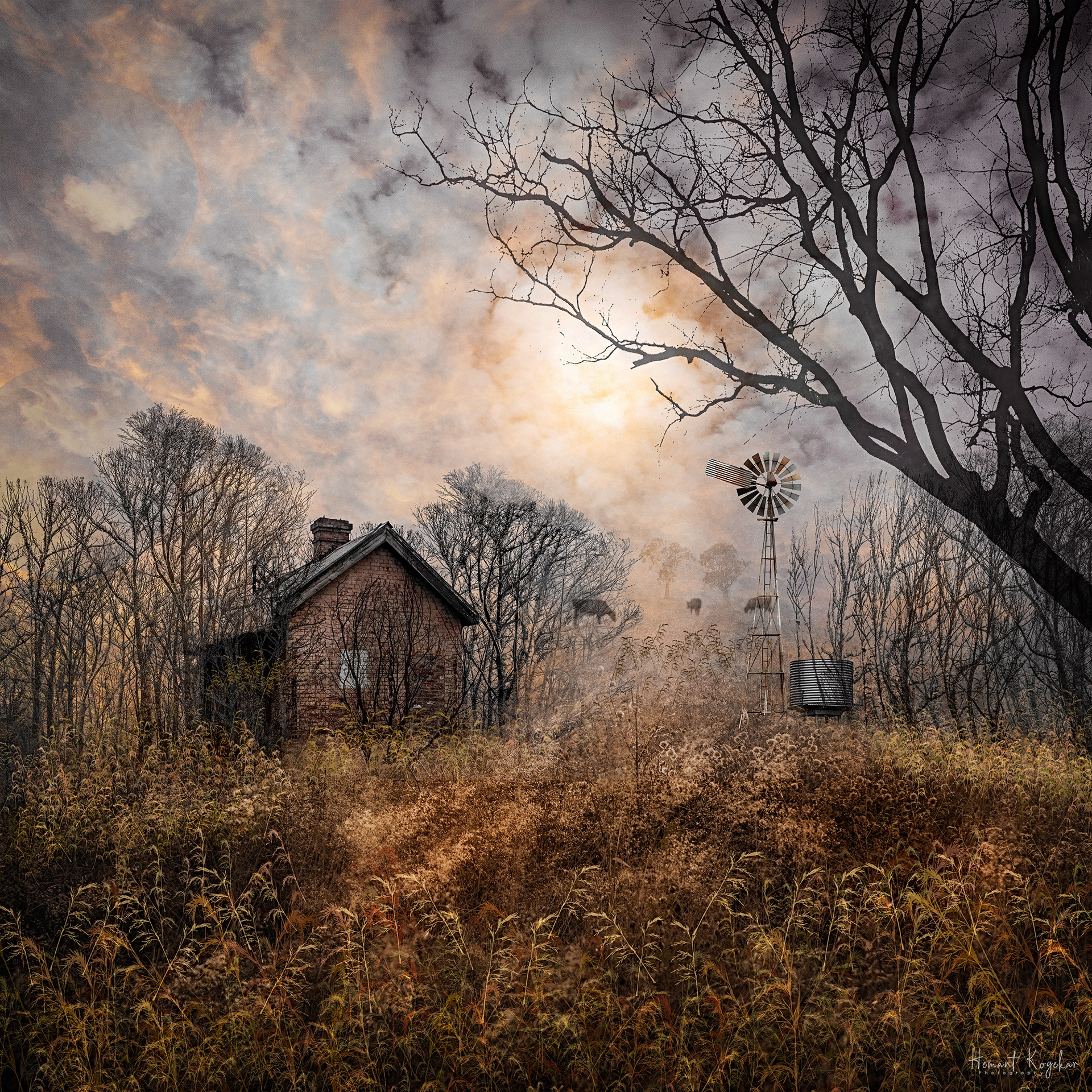 Overgrown
