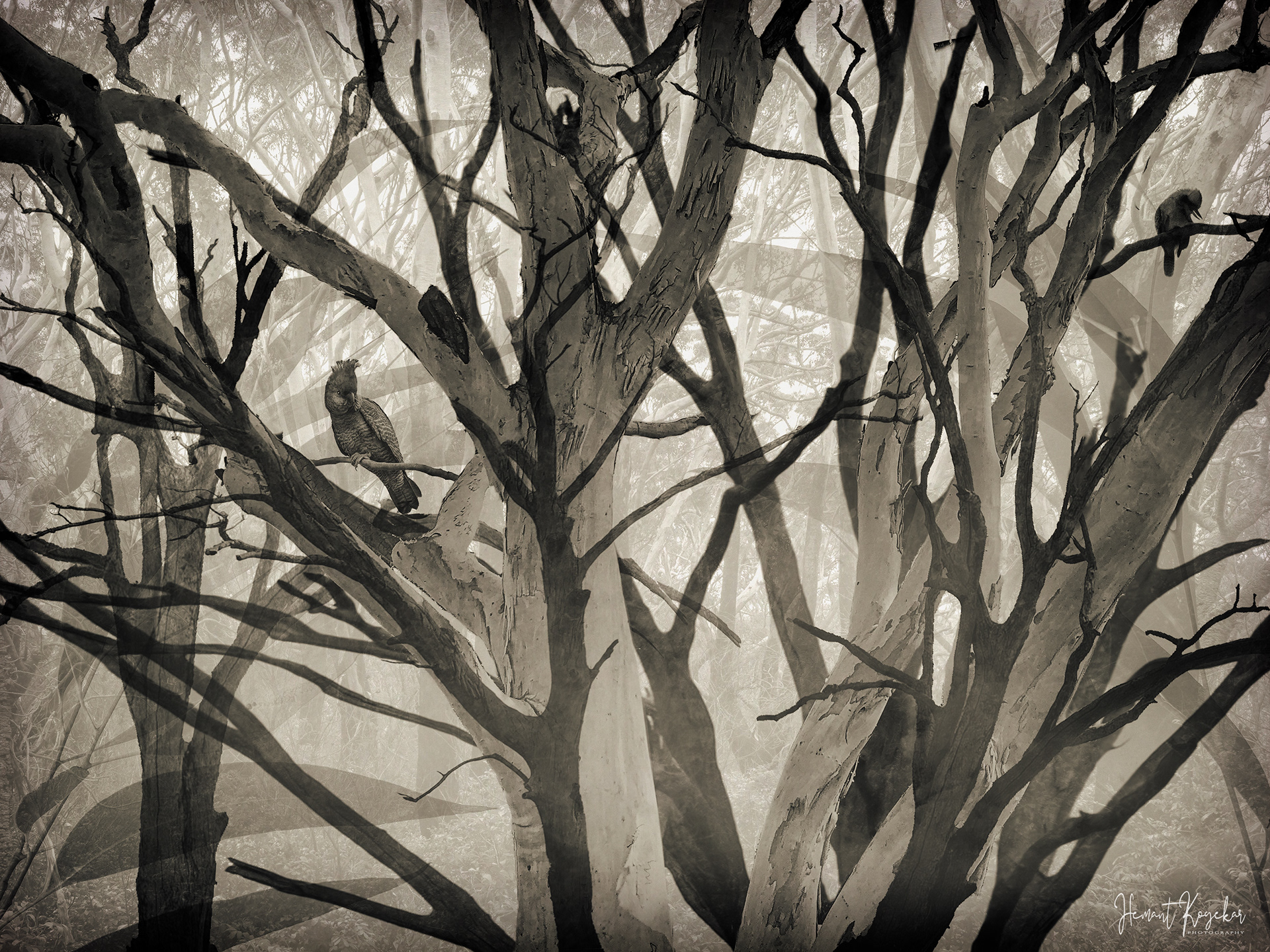 In the woods