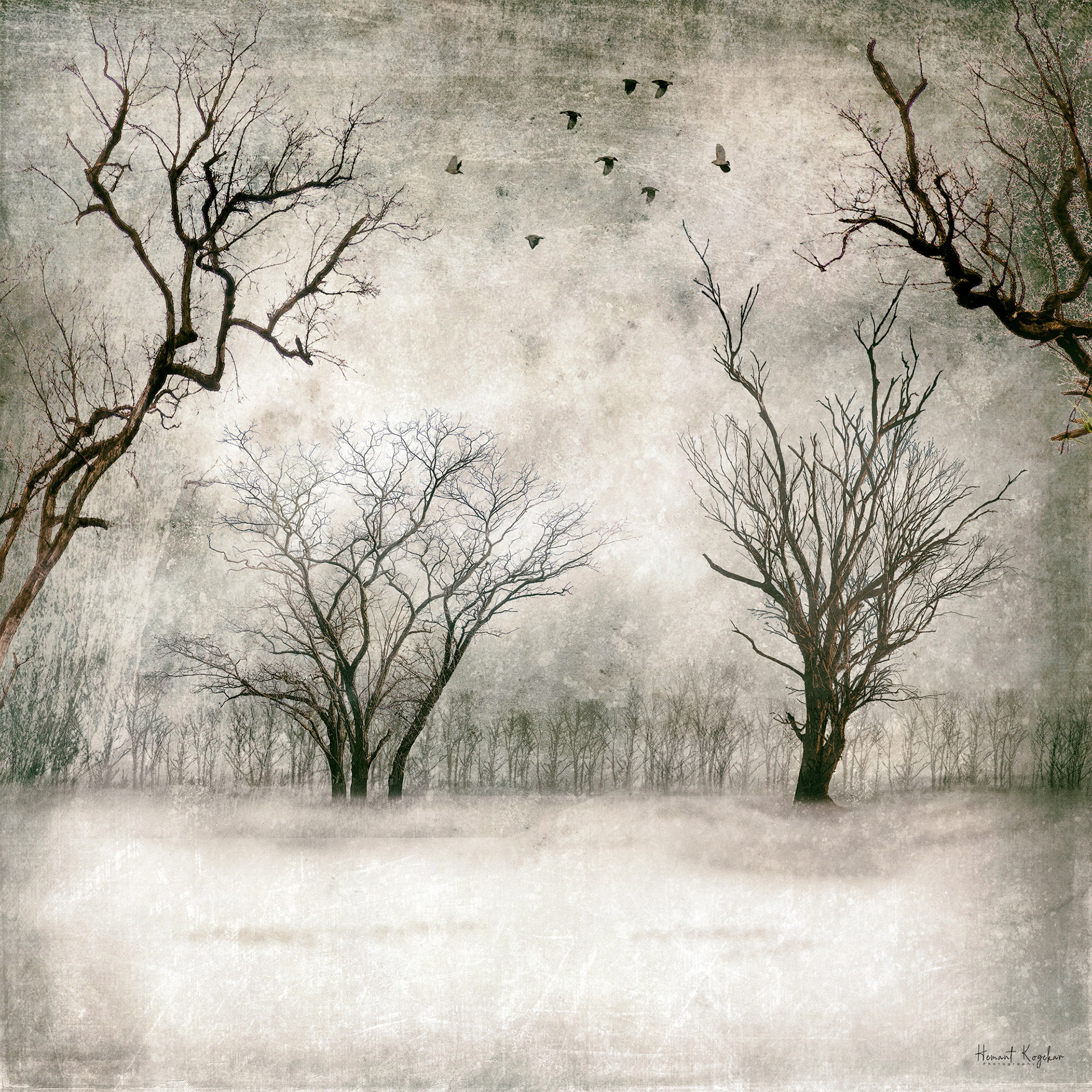 Bleak winter