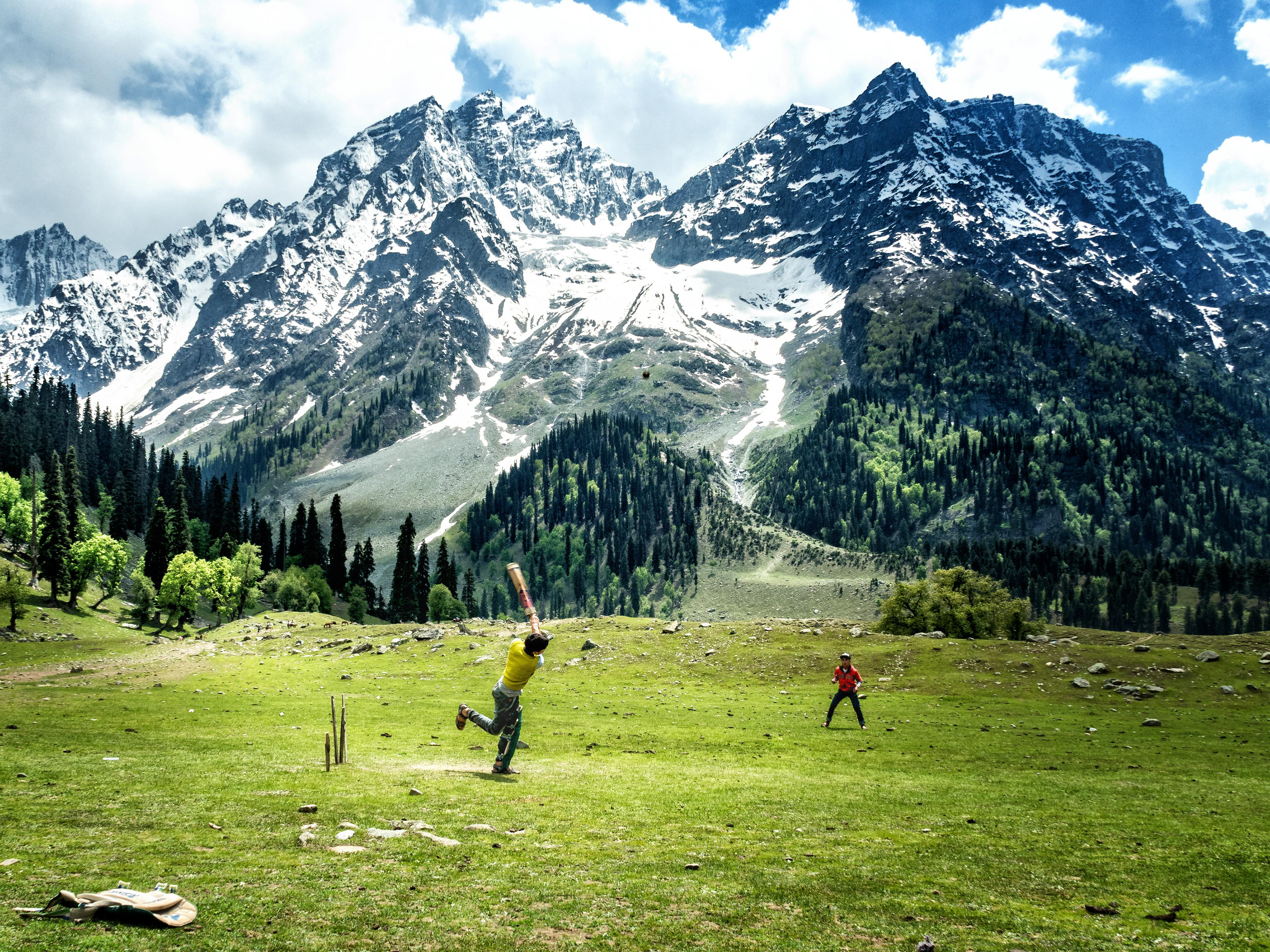Cricket everywhere