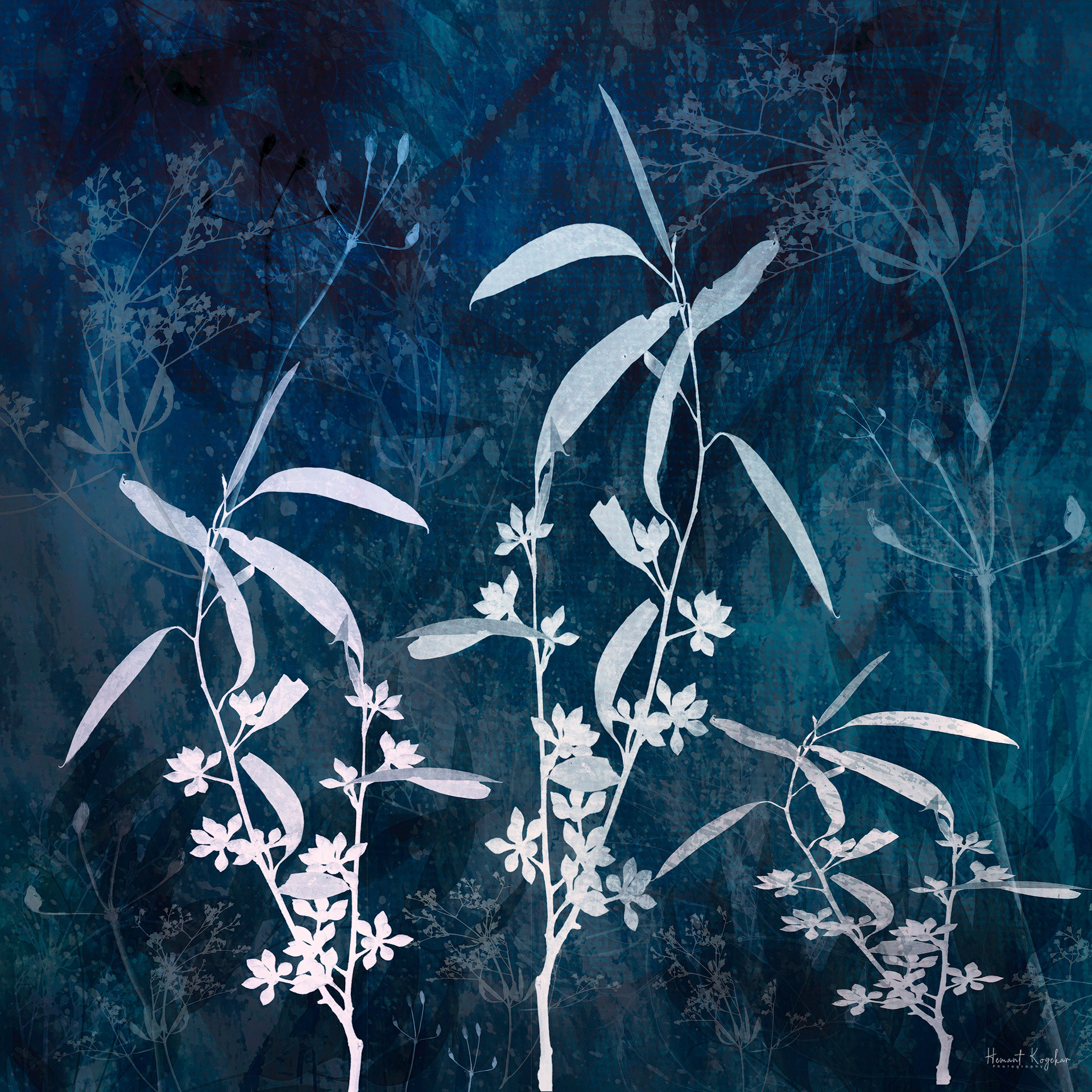 Gum leaves 2