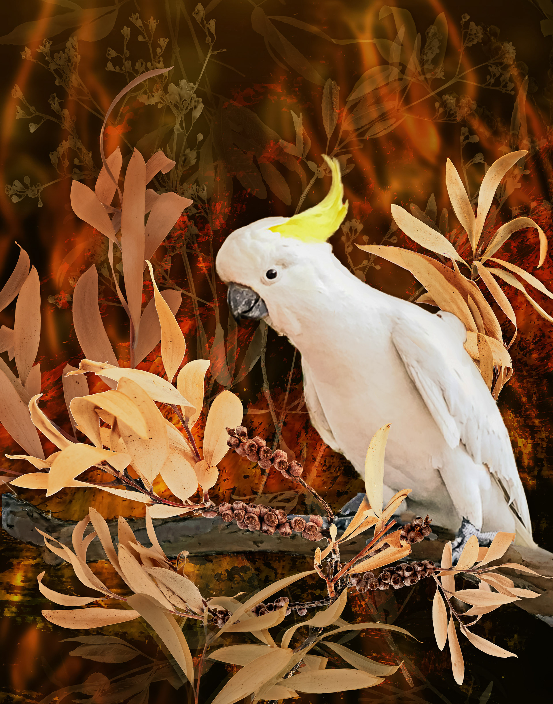 In Burning Bush