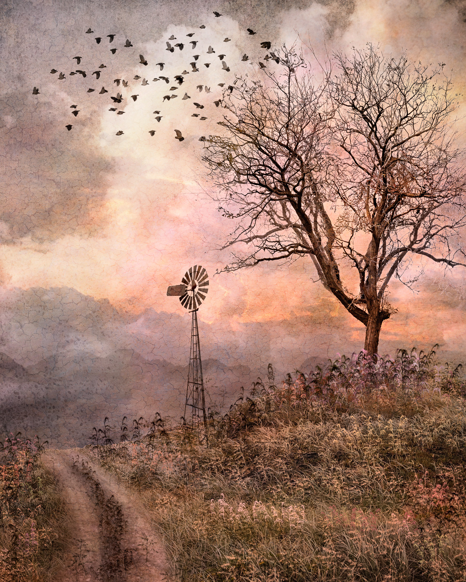Windmill