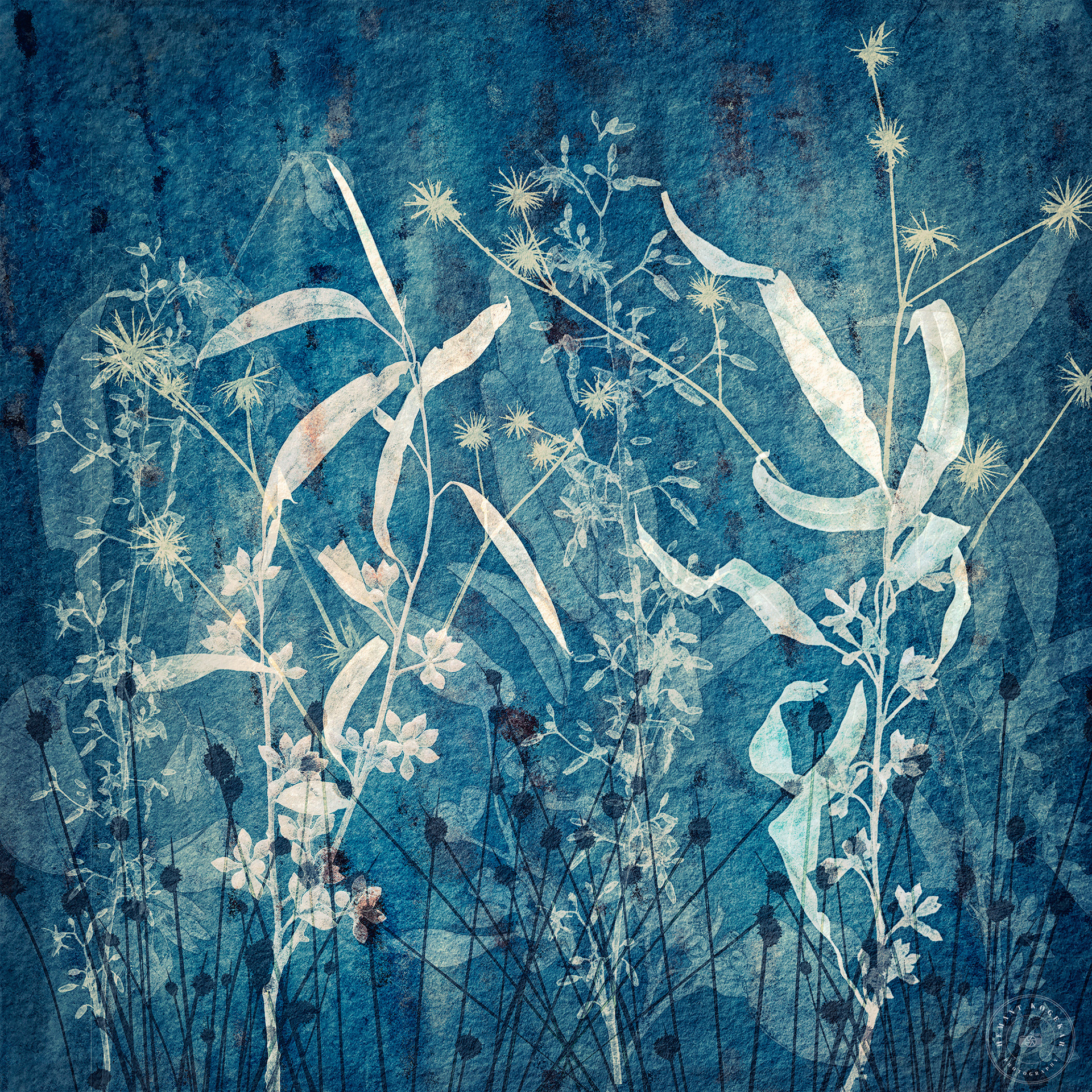 Dancing leaves