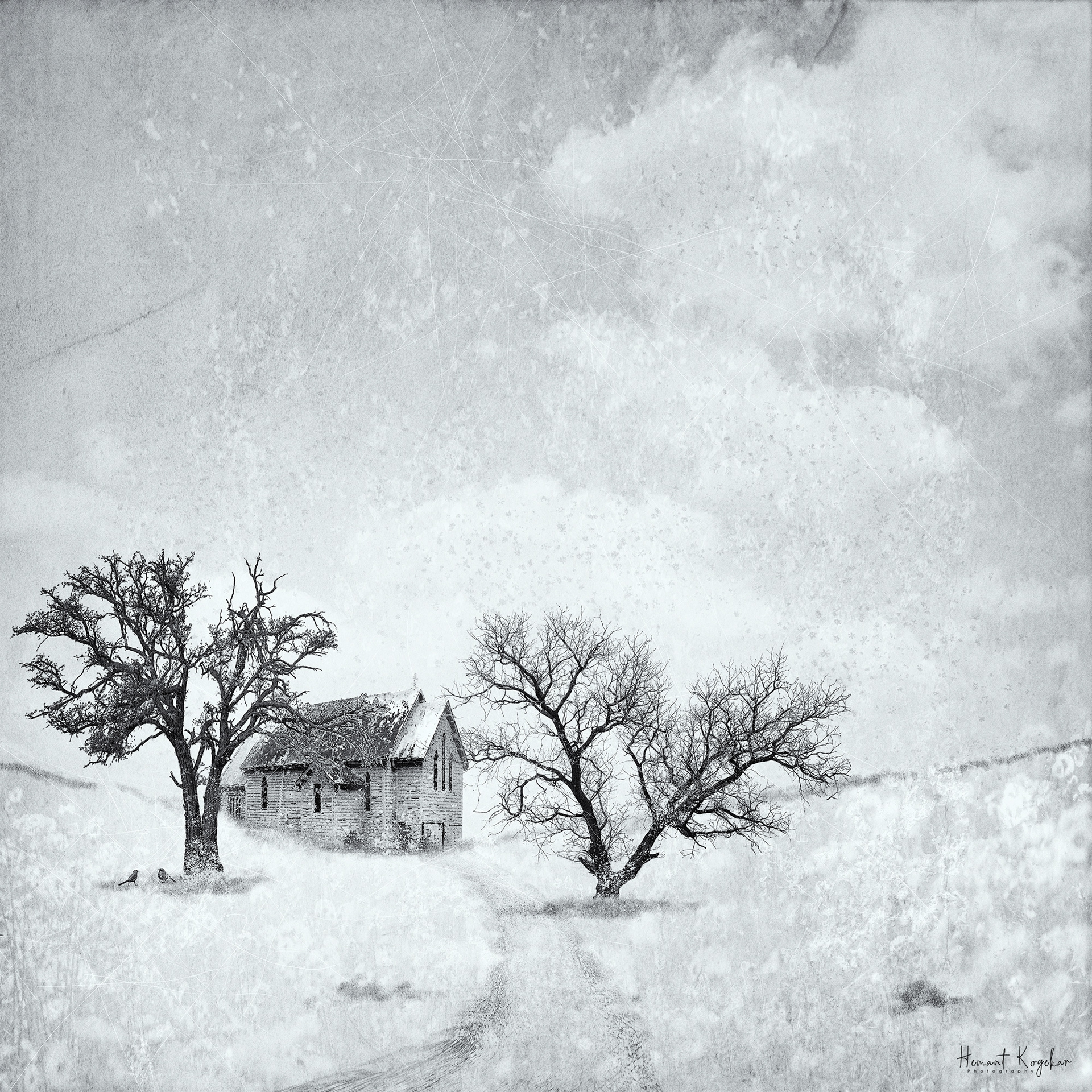 Snowbound