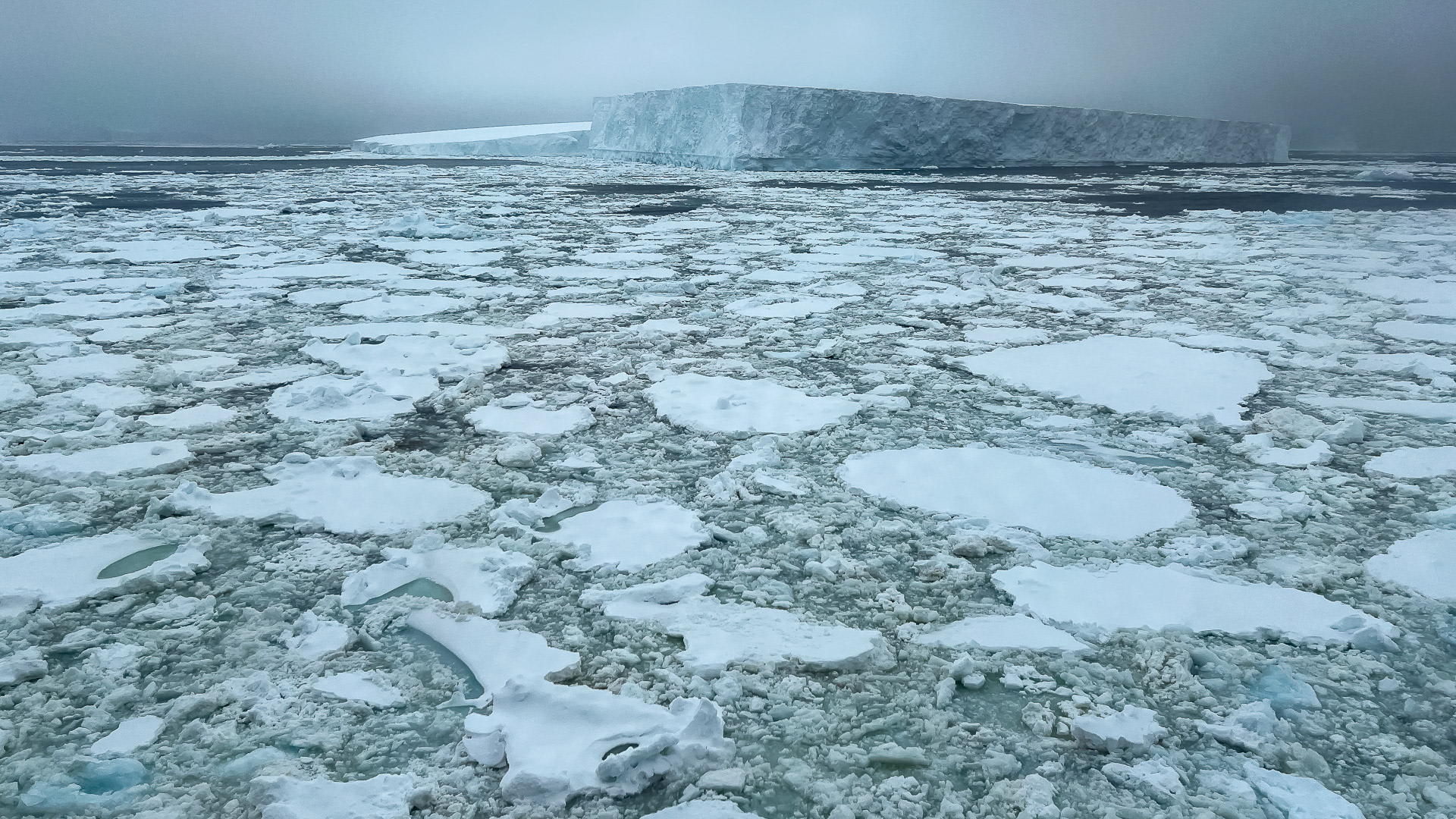 Sea Ice - Drake Passage