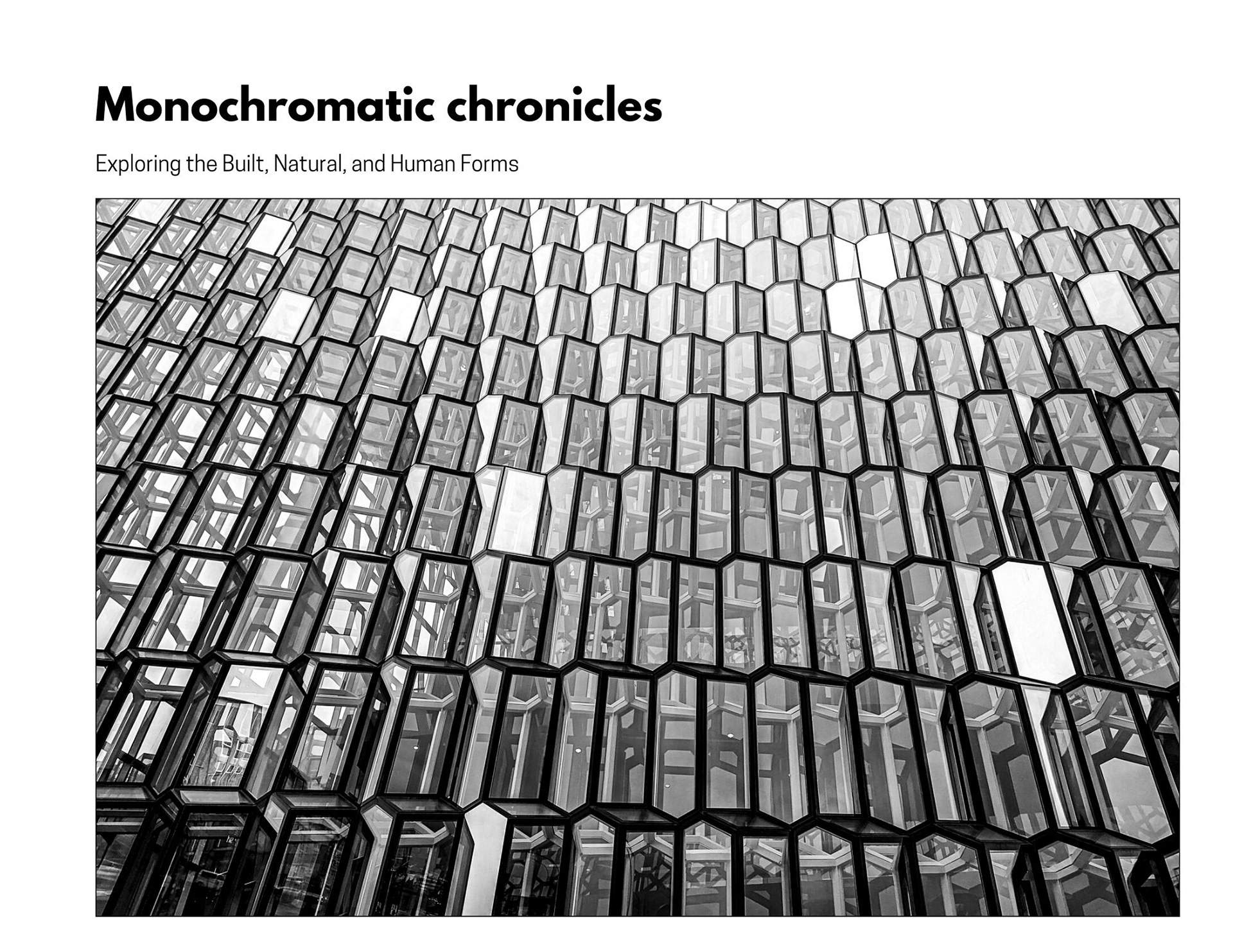 World seen in black and white