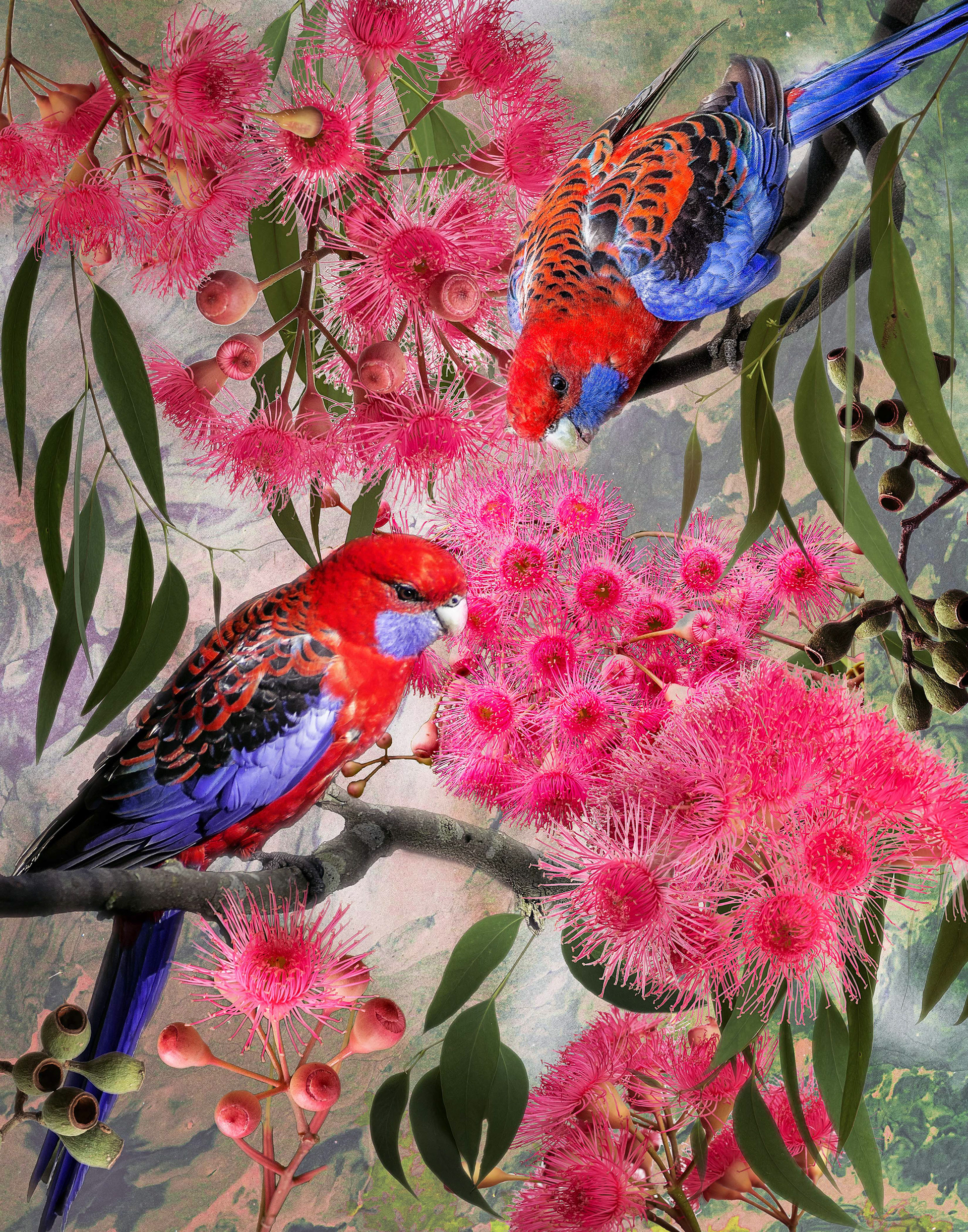 Birds in Pink Blossom