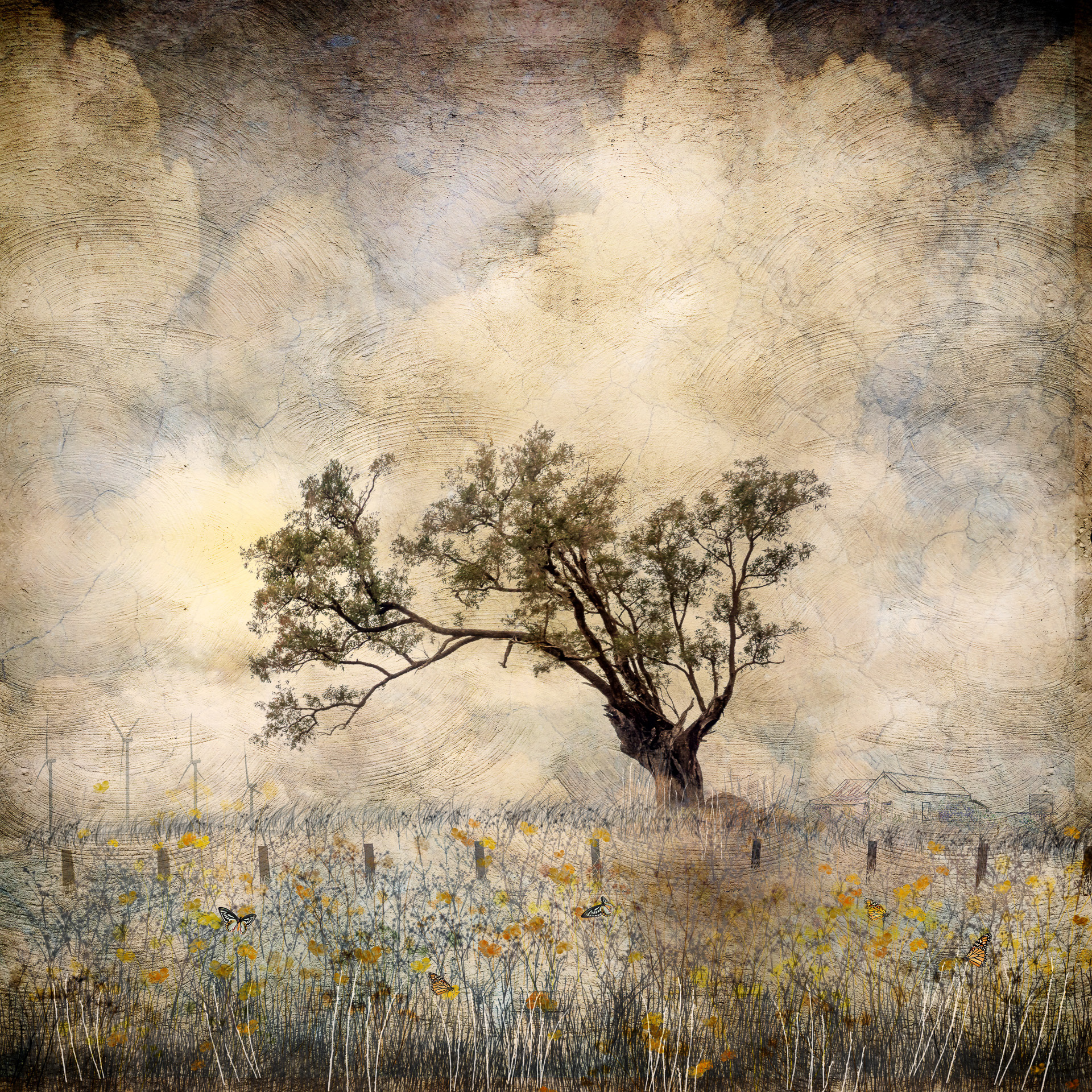 Longing for spring