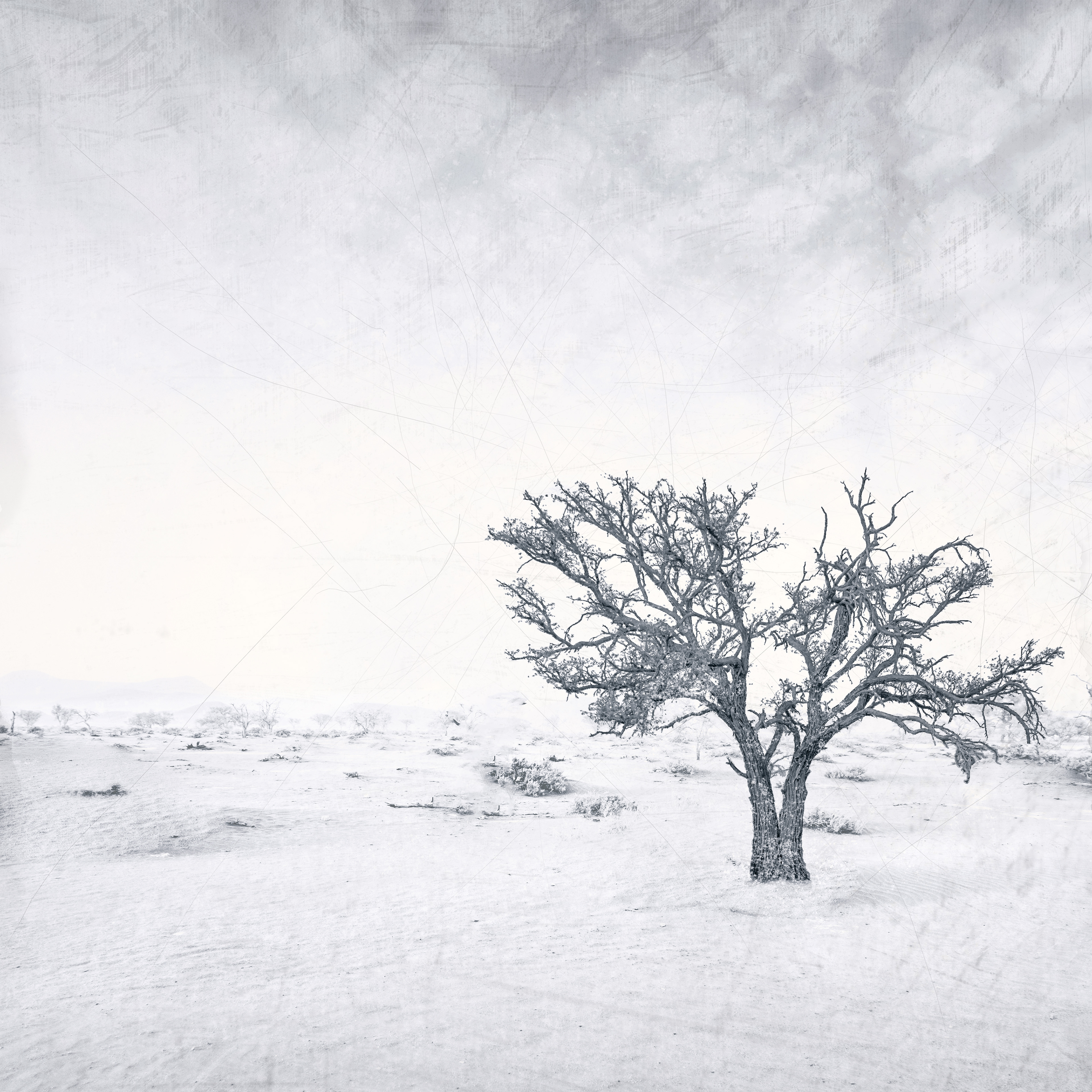 A Place of Solitude 2