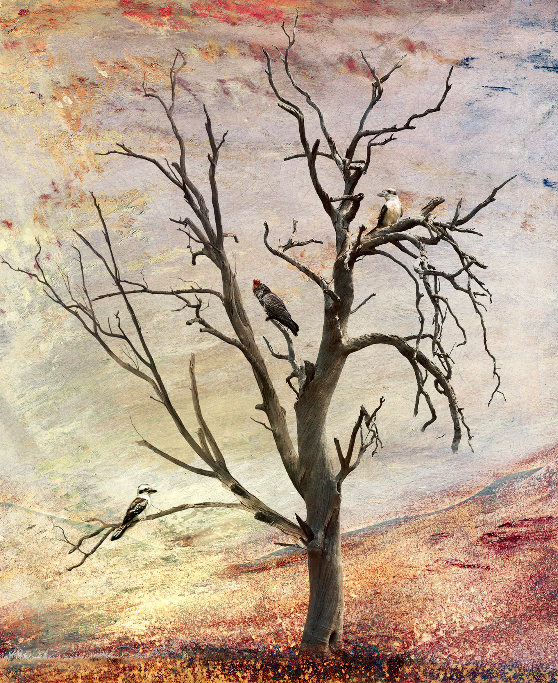 Dry Land