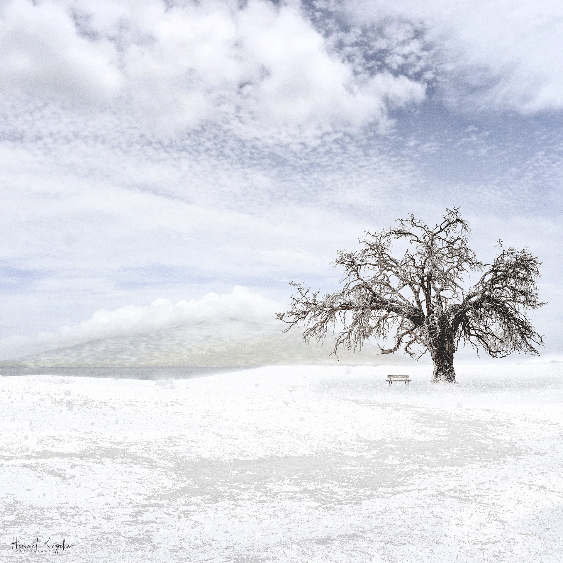 A place for solitude II