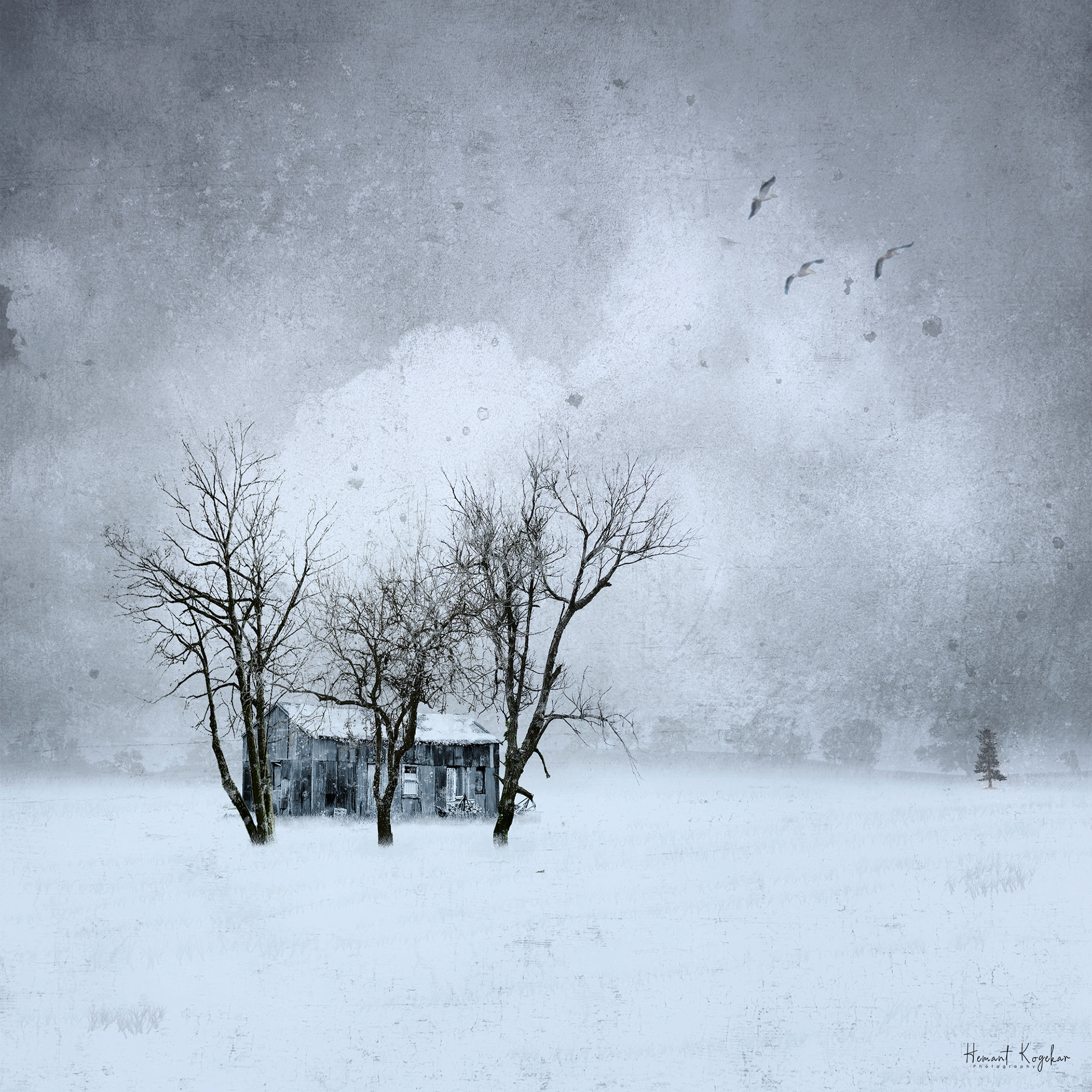Lost in snow