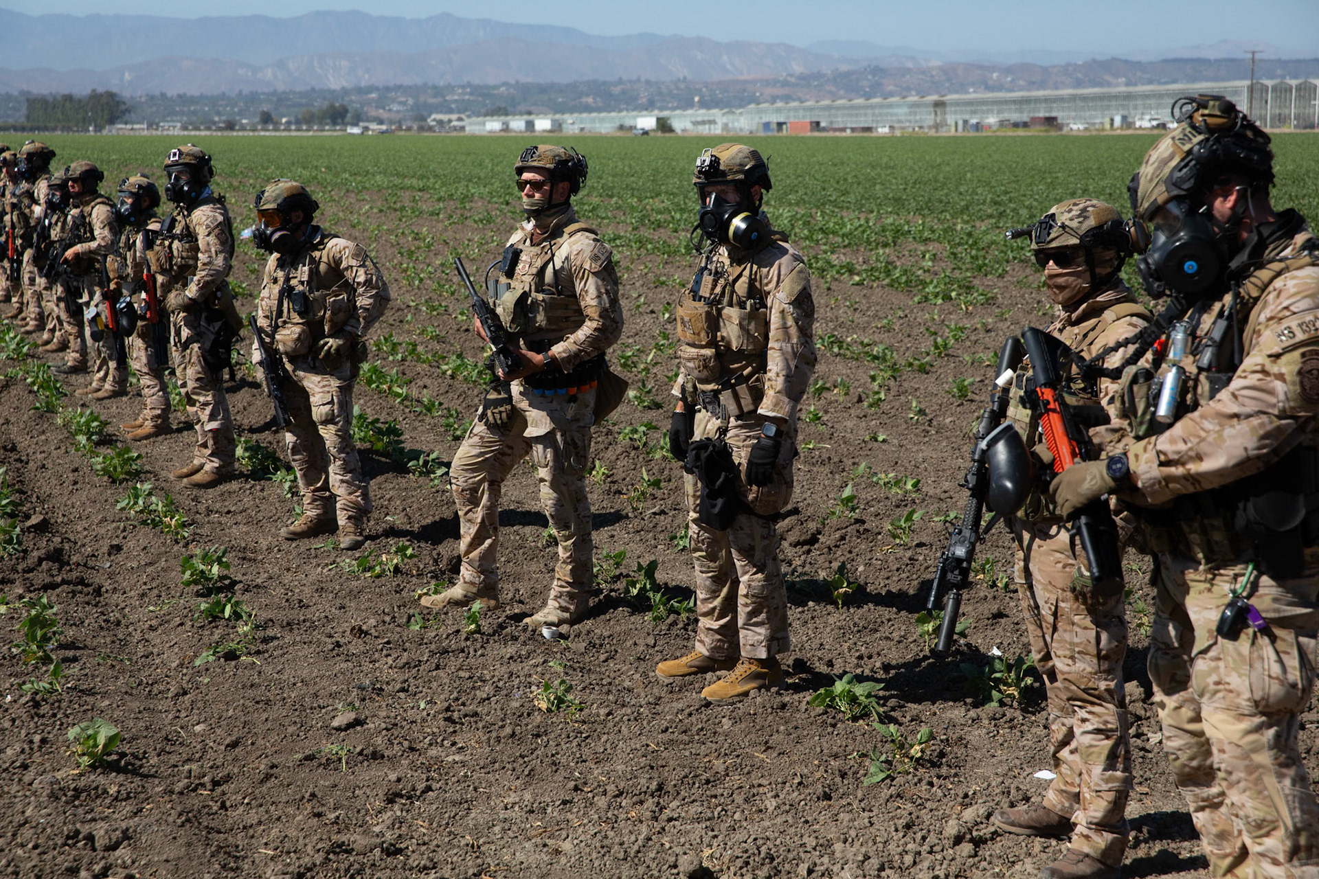 DHS agents from multiple subsidiaries conducts a mass raid at a farm in Camarillo, Calif. on July 10, 2025.