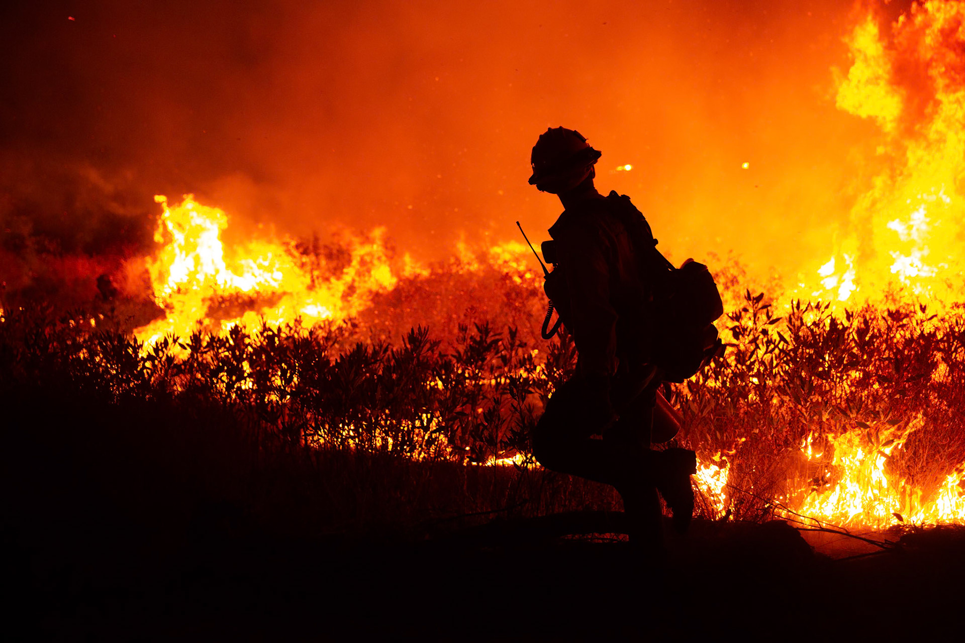 Firefighters perform backfire to prevent the wildfire from reaching nearby homes. The Canyon Fire started around 1:30pm on August 7, 2025 and rapidly spread to 600 acres in less than two hours. Aided by the heatwave in Southern California that reached 100 degrees Ferehnehit, dry vegetation, and steep topology; the fire is 0% contained and 4,800 acres as of Thursday night.