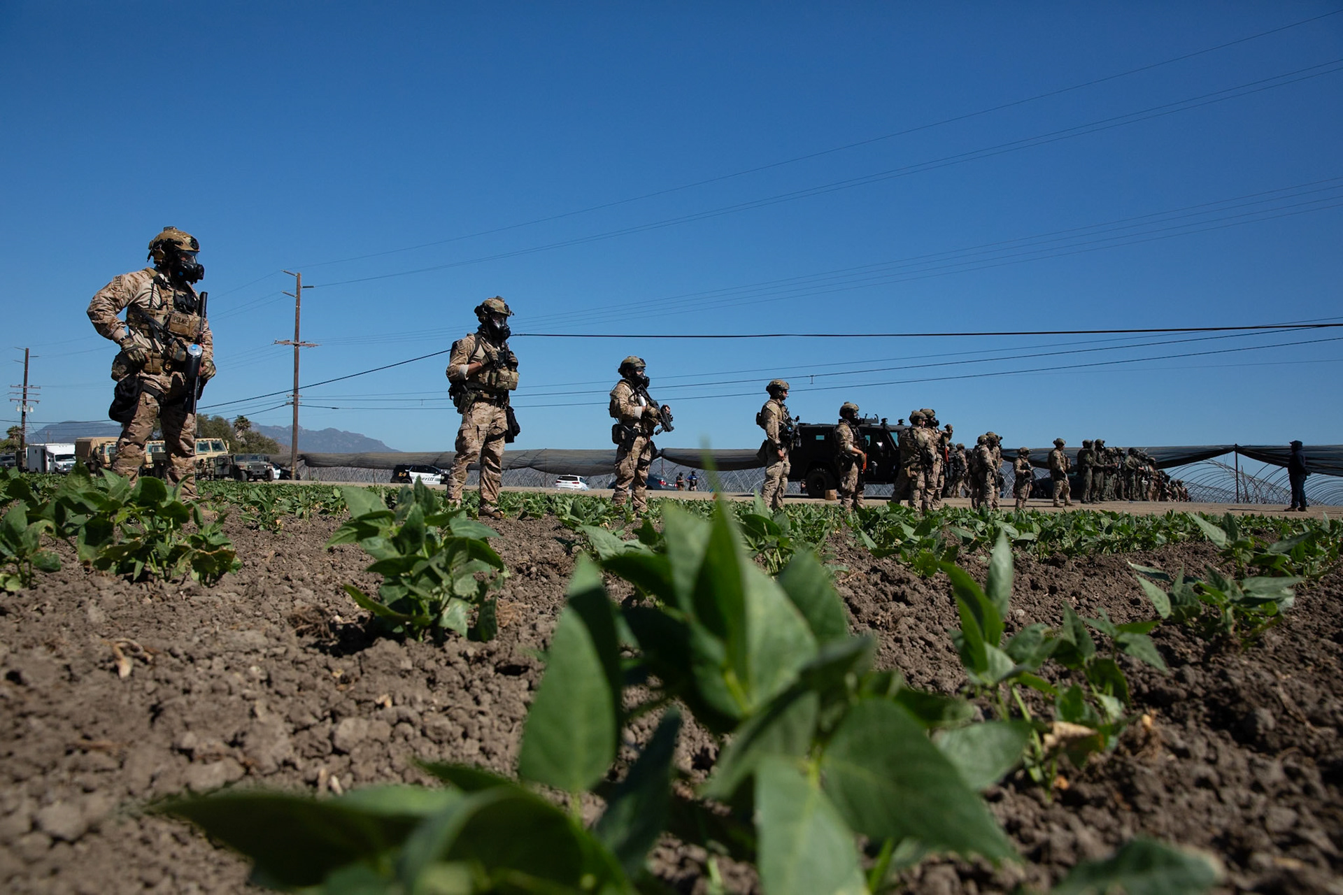 DHS agents from multiple subsidiaries conducts a mass raid at a farm in Camarillo, Calif. on July 10, 2025.