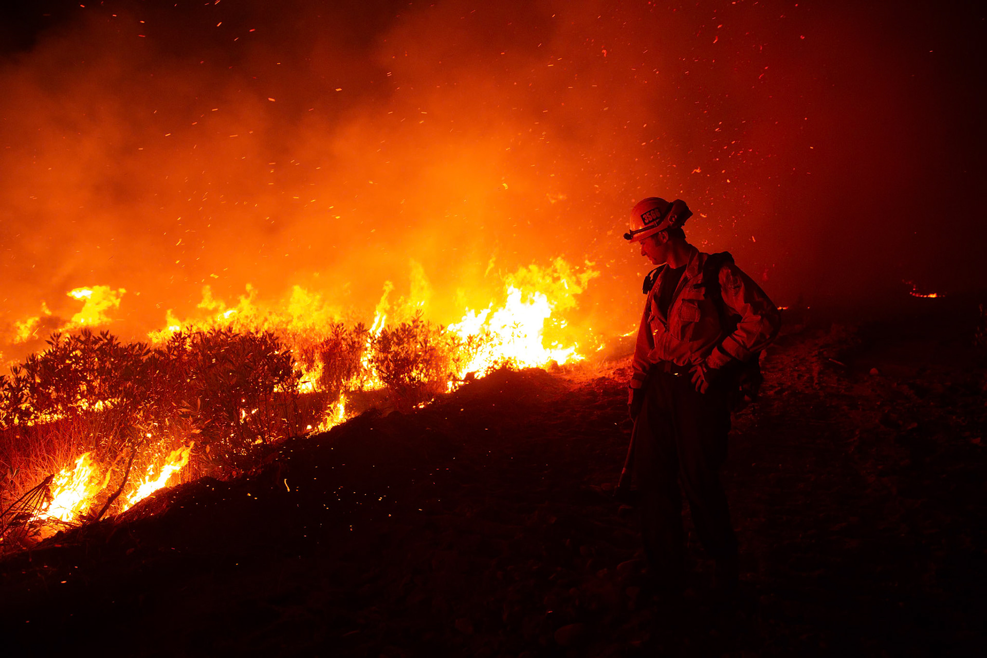 Firefighters perform backfire to prevent the wildfire from reaching nearby homes. The Canyon Fire started around 1:30pm on August 7, 2025 and rapidly spread to 600 acres in less than two hours. Aided by the heatwave in Southern California that reached 100 degrees Ferehnehit, dry vegetation, and steep topology; the fire is 0% contained and 4,800 acres as of Thursday night.