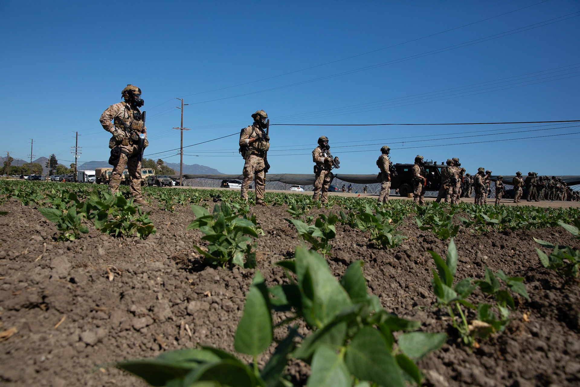 DHS agents from multiple subsidiaries conducts a mass raid at a farm in Camarillo, Calif. on July 10, 2025.
