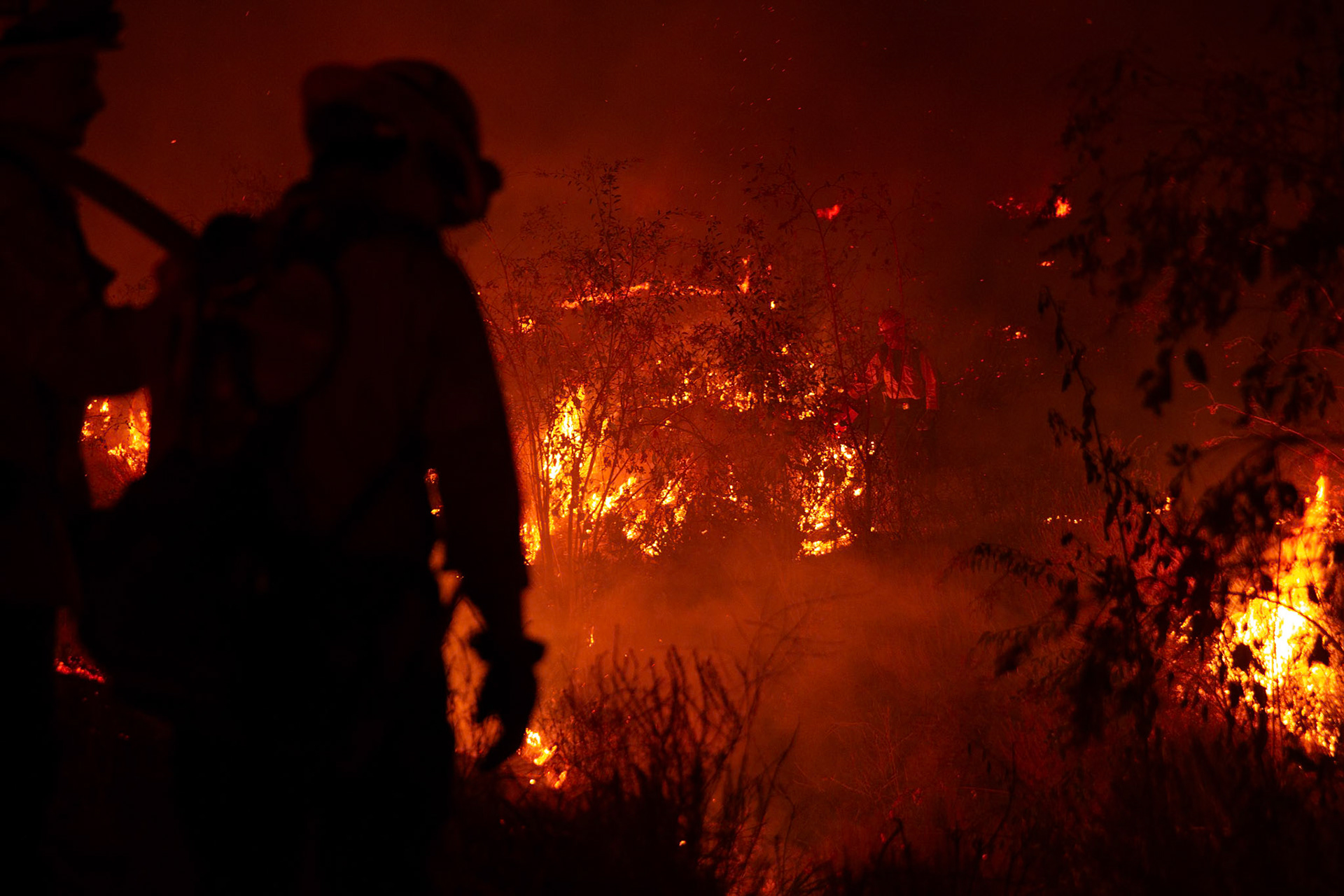 Firefighters perform backfire to prevent the wildfire from reaching nearby homes. The Canyon Fire started around 1:30pm on August 7, 2025 and rapidly spread to 600 acres in less than two hours. Aided by the heatwave in Southern California that reached 100 degrees Ferehnehit, dry vegetation, and steep topology; the fire is 0% contained and 4,800 acres as of Thursday night.