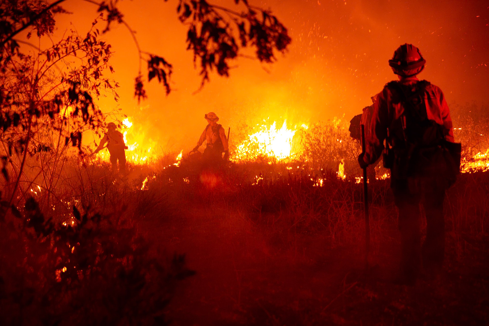 Firefighters perform backfire to prevent the wildfire from reaching nearby homes. The Canyon Fire started around 1:30pm on August 7, 2025 and rapidly spread to 600 acres in less than two hours. Aided by the heatwave in Southern California that reached 100 degrees Ferehnehit, dry vegetation, and steep topology; the fire is 0% contained and 4,800 acres as of Thursday night.