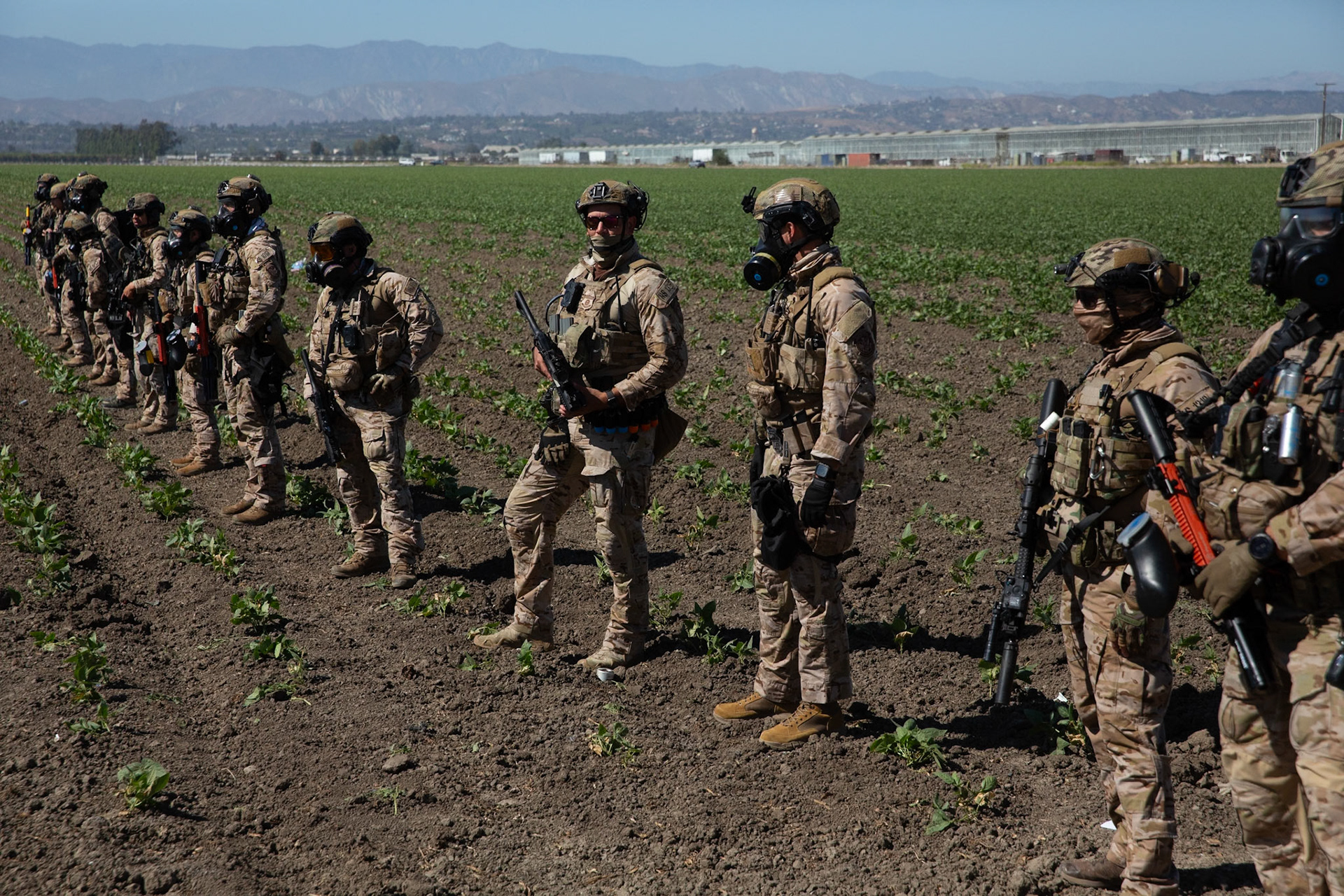 DHS agents from multiple subsidiaries conducts a mass raid at a farm in Camarillo, Calif. on July 10, 2025.