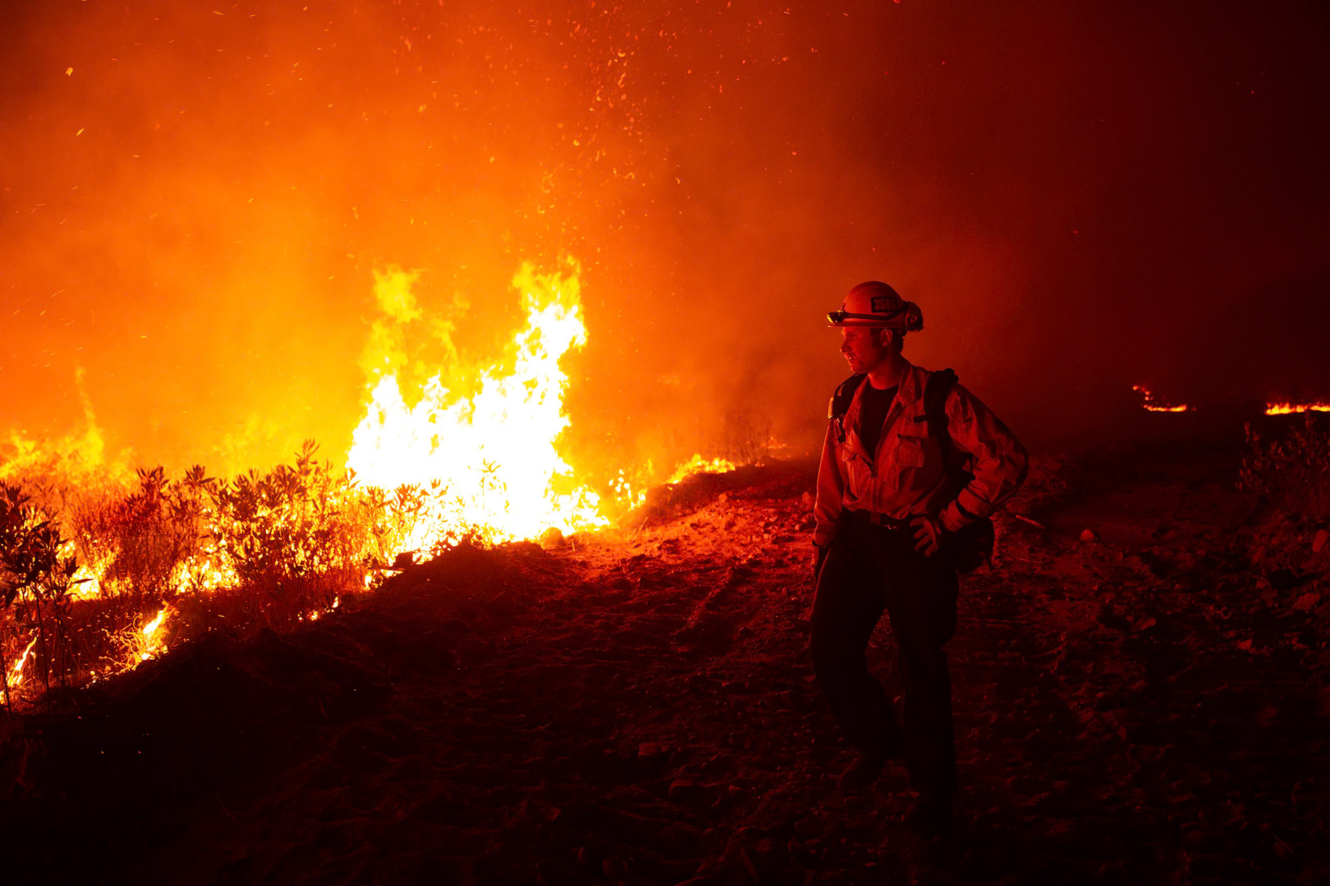 Firefighters perform backfire to prevent the wildfire from reaching nearby homes. The Canyon Fire started around 1:30pm on August 7, 2025 and rapidly spread to 600 acres in less than two hours. Aided by the heatwave in Southern California that reached 100 degrees Ferehnehit, dry vegetation, and steep topology; the fire is 0% contained and 4,800 acres as of Thursday night.
