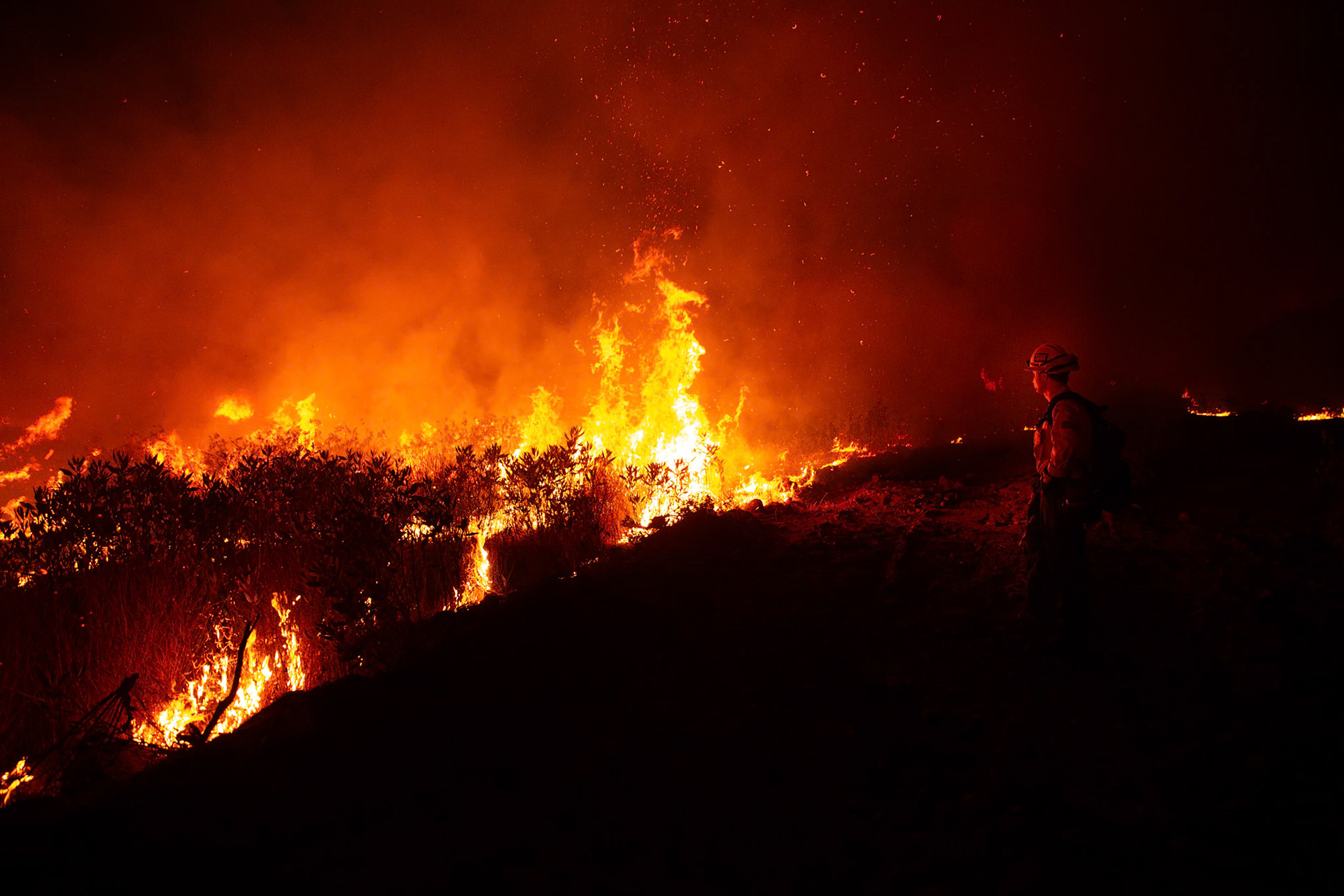 Firefighters perform backfire to prevent the wildfire from reaching nearby homes. The Canyon Fire started around 1:30pm on August 7, 2025 and rapidly spread to 600 acres in less than two hours. Aided by the heatwave in Southern California that reached 100 degrees Ferehnehit, dry vegetation, and steep topology; the fire is 0% contained and 4,800 acres as of Thursday night.