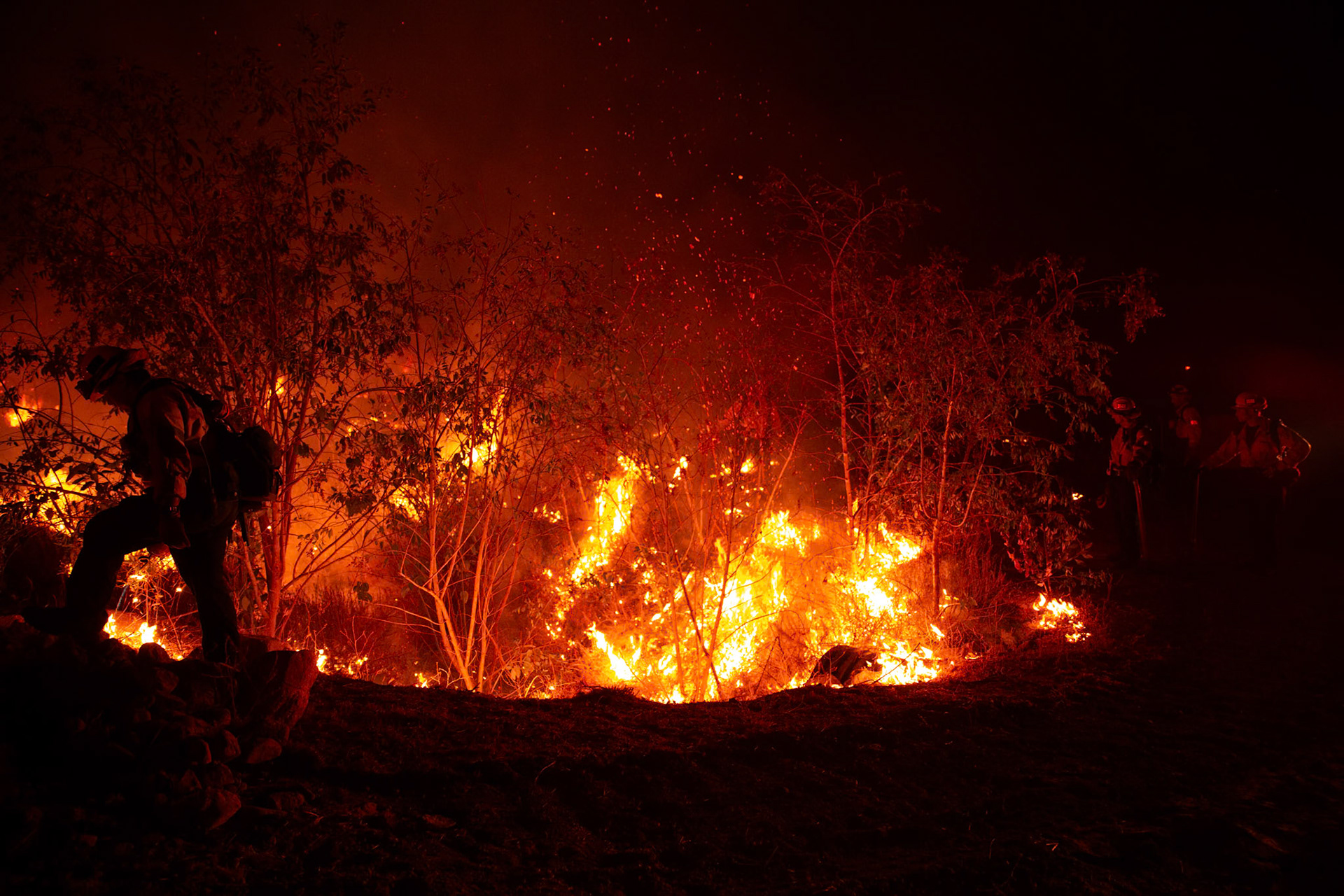 Firefighters perform backfire to prevent the wildfire from reaching nearby homes. The Canyon Fire started around 1:30pm on August 7, 2025 and rapidly spread to 600 acres in less than two hours. Aided by the heatwave in Southern California that reached 100 degrees Ferehnehit, dry vegetation, and steep topology; the fire is 0% contained and 4,800 acres as of Thursday night.