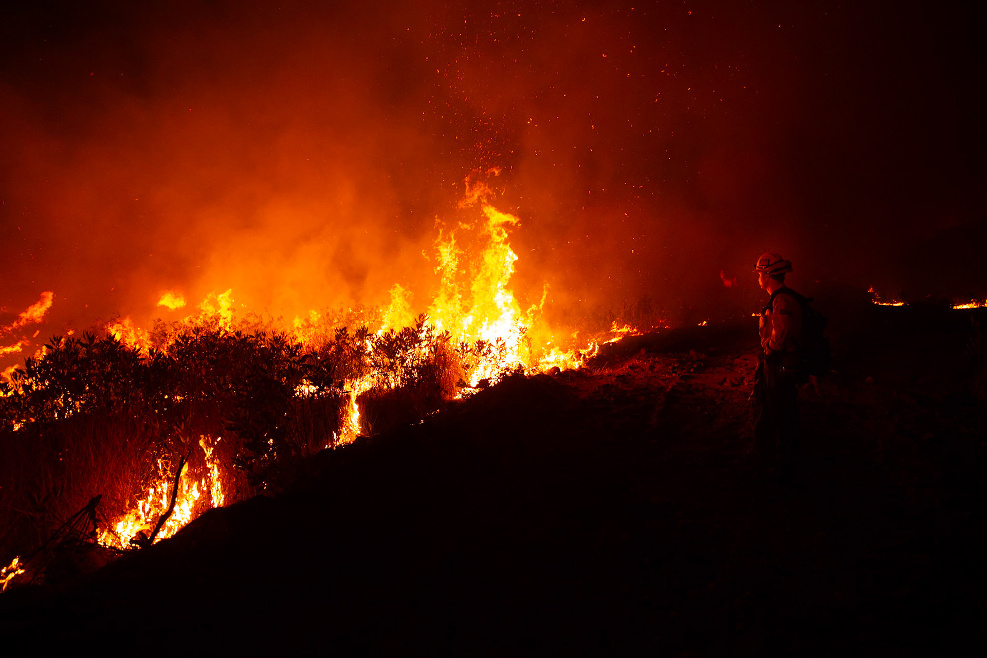 Firefighters perform backfire to prevent the wildfire from reaching nearby homes. The Canyon Fire started around 1:30pm on August 7, 2025 and rapidly spread to 600 acres in less than two hours. Aided by the heatwave in Southern California that reached 100 degrees Ferehnehit, dry vegetation, and steep topology; the fire is 0% contained and 4,800 acres as of Thursday night.