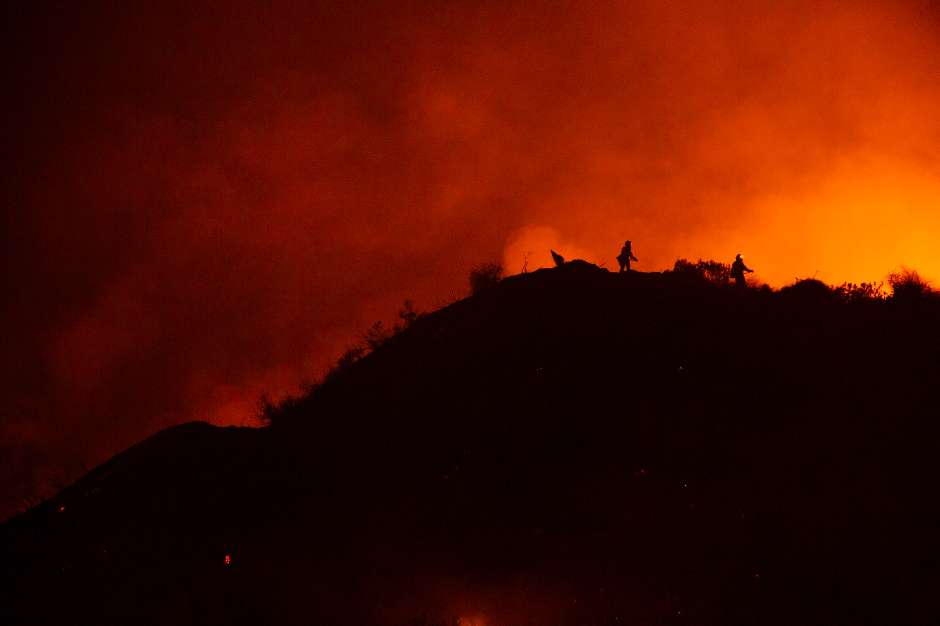 Firefighters perform backfire to prevent the wildfire from reaching nearby homes. The Canyon Fire started around 1:30pm on August 7, 2025 and rapidly spread to 600 acres in less than two hours. Aided by the heatwave in Southern California that reached 100 degrees Ferehnehit, dry vegetation, and steep topology; the fire is 0% contained and 4,800 acres as of Thursday night.