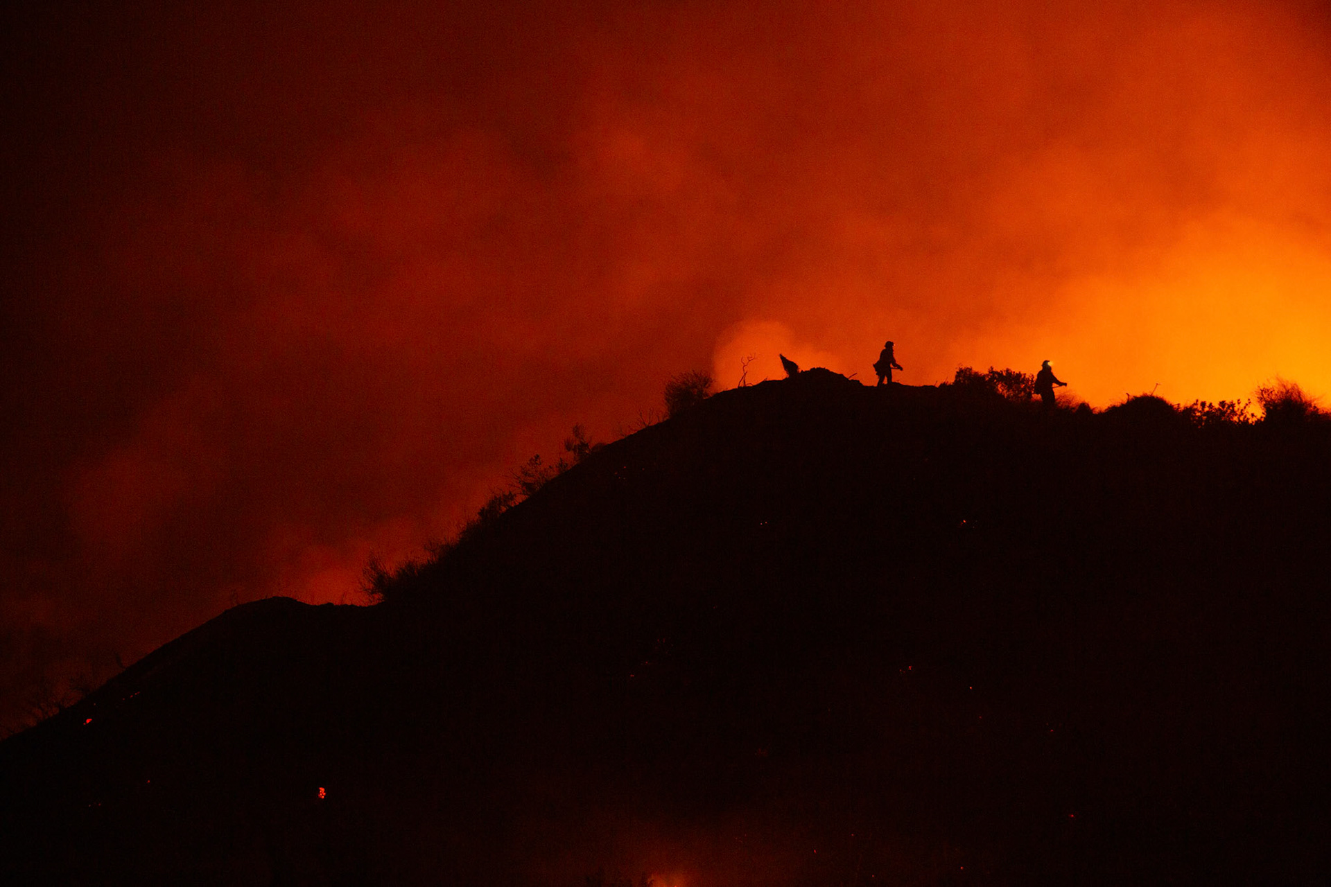 Firefighters perform backfire to prevent the wildfire from reaching nearby homes. The Canyon Fire started around 1:30pm on August 7, 2025 and rapidly spread to 600 acres in less than two hours. Aided by the heatwave in Southern California that reached 100 degrees Ferehnehit, dry vegetation, and steep topology; the fire is 0% contained and 4,800 acres as of Thursday night.