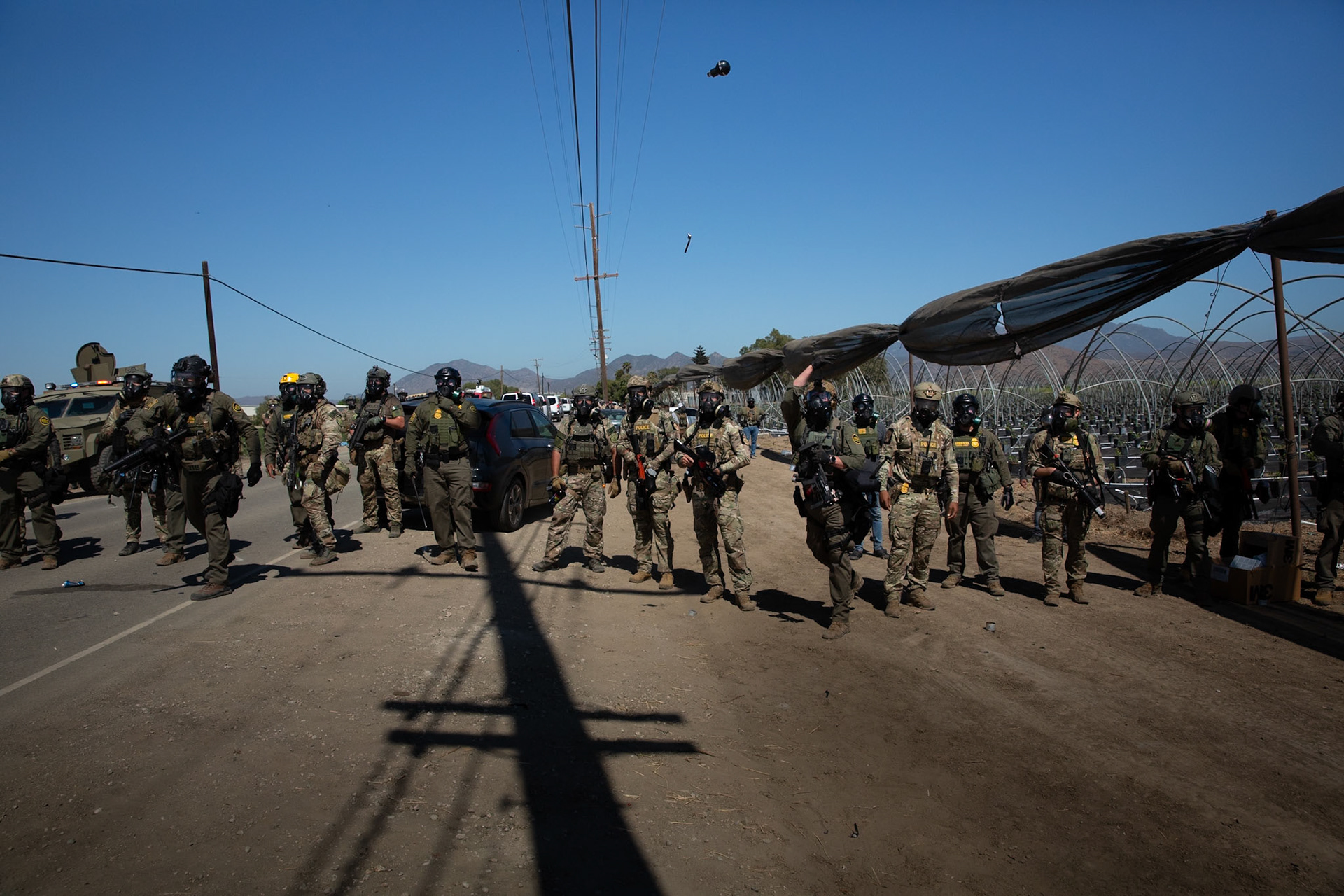 DHS agents from multiple subsidiaries conducts a mass raid at a farm in Camarillo, Calif. on July 10, 2025.