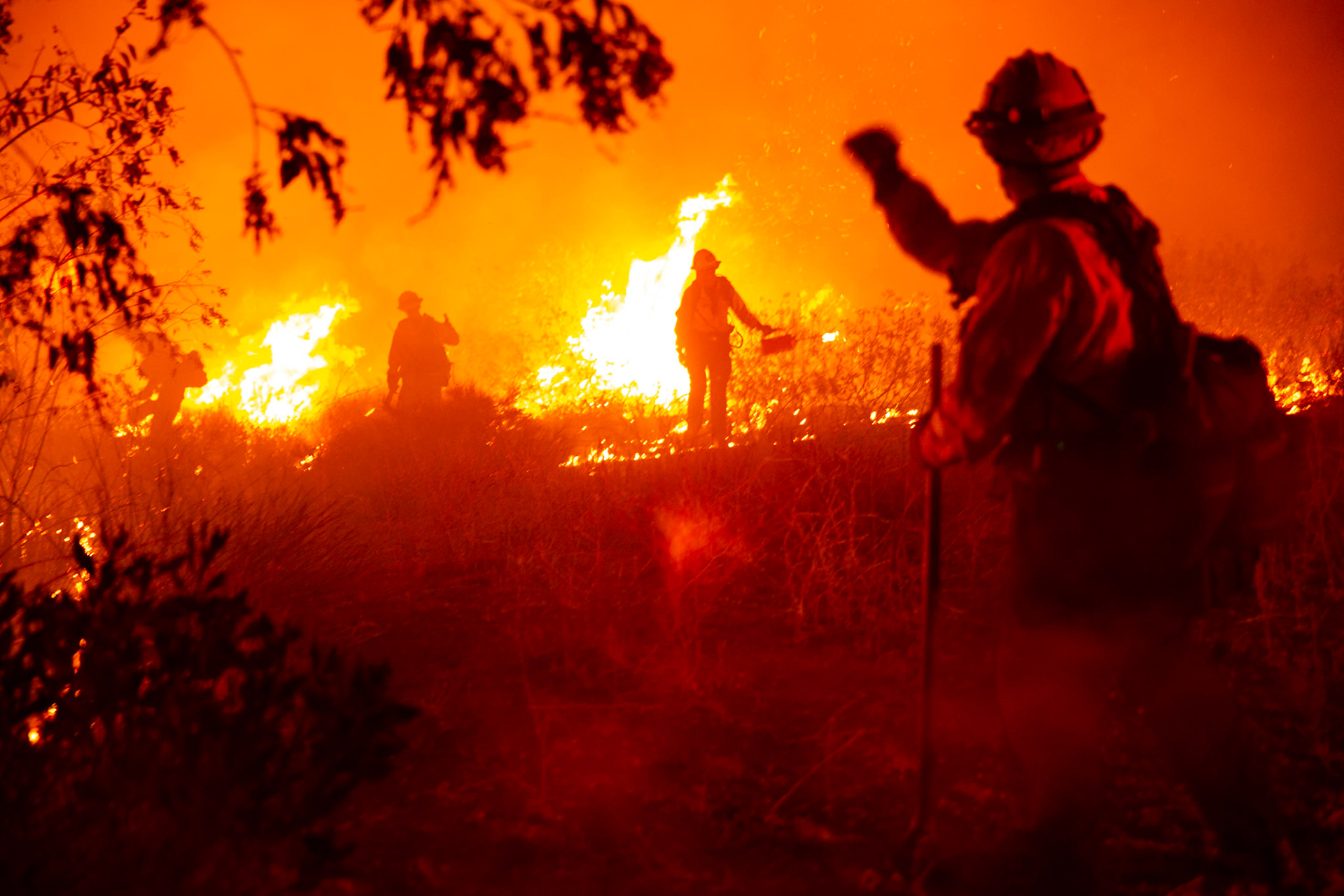 Firefighters perform backfire to prevent the wildfire from reaching nearby homes. The Canyon Fire started around 1:30pm on August 7, 2025 and rapidly spread to 600 acres in less than two hours. Aided by the heatwave in Southern California that reached 100 degrees Ferehnehit, dry vegetation, and steep topology; the fire is 0% contained and 4,800 acres as of Thursday night.