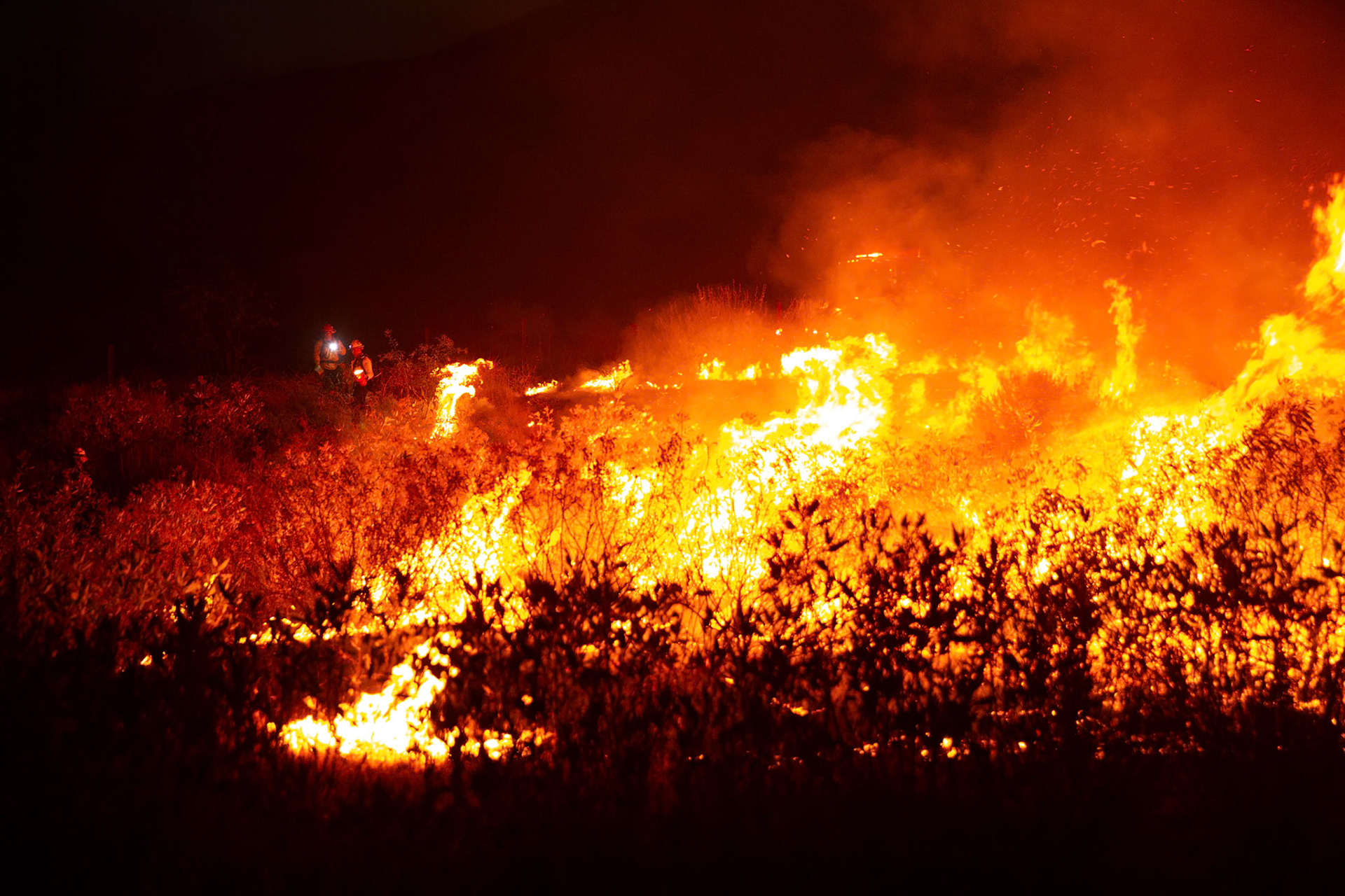 Firefighters perform backfire to prevent the wildfire from reaching nearby homes. The Canyon Fire started around 1:30pm on August 7, 2025 and rapidly spread to 600 acres in less than two hours. Aided by the heatwave in Southern California that reached 100 degrees Ferehnehit, dry vegetation, and steep topology; the fire is 0% contained and 4,800 acres as of Thursday night.