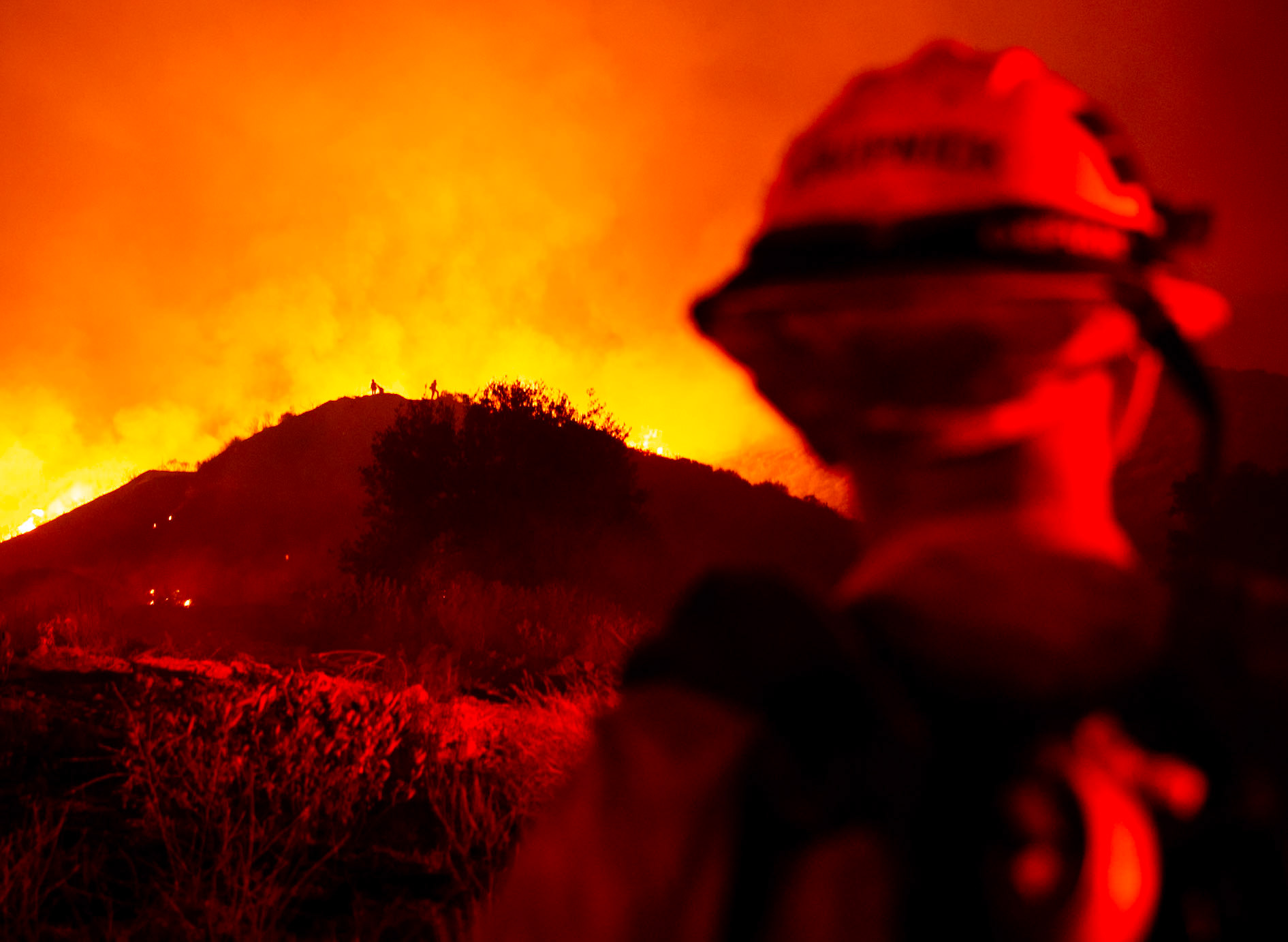 Firefighters perform backfire to prevent the wildfire from reaching nearby homes. The Canyon Fire started around 1:30pm on August 7, 2025 and rapidly spread to 600 acres in less than two hours. Aided by the heatwave in Southern California that reached 100 degrees Ferehnehit, dry vegetation, and steep topology; the fire is 0% contained and 4,800 acres as of Thursday night.