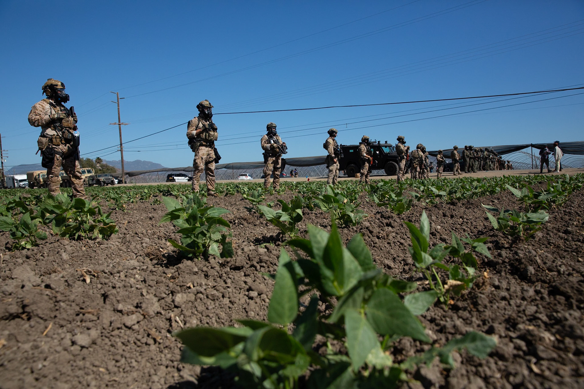 DHS agents from multiple subsidiaries conducts a mass raid at a farm in Camarillo, Calif. on July 10, 2025.