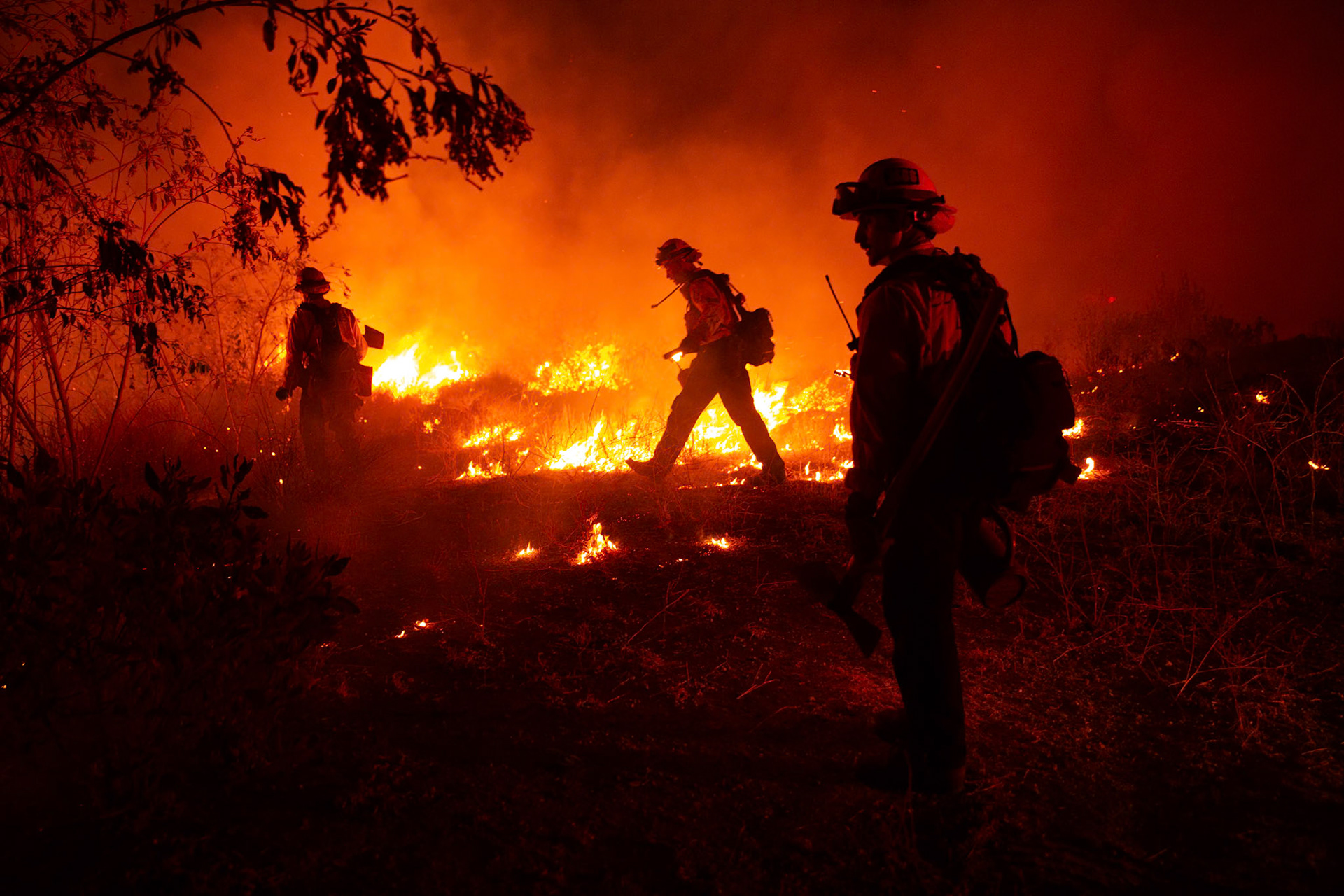 Firefighters perform backfire to prevent the wildfire from reaching nearby homes. The Canyon Fire started around 1:30pm on August 7, 2025 and rapidly spread to 600 acres in less than two hours. Aided by the heatwave in Southern California that reached 100 degrees Ferehnehit, dry vegetation, and steep topology; the fire is 0% contained and 4,800 acres as of Thursday night.