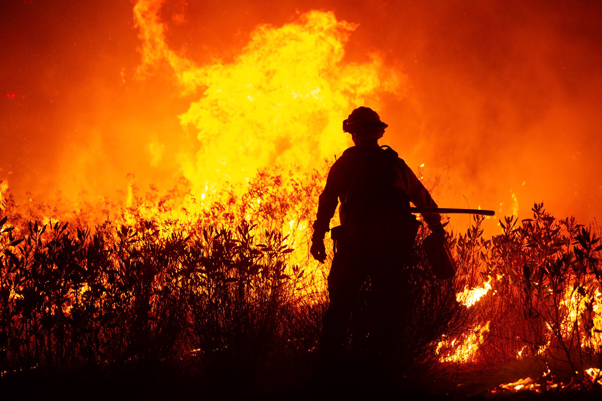 Firefighters perform backfire to prevent the wildfire from reaching nearby homes. The Canyon Fire started around 1:30pm on August 7, 2025 and rapidly spread to 600 acres in less than two hours. Aided by the heatwave in Southern California that reached 100 degrees Ferehnehit, dry vegetation, and steep topology; the fire is 0% contained and 4,800 acres as of Thursday night.