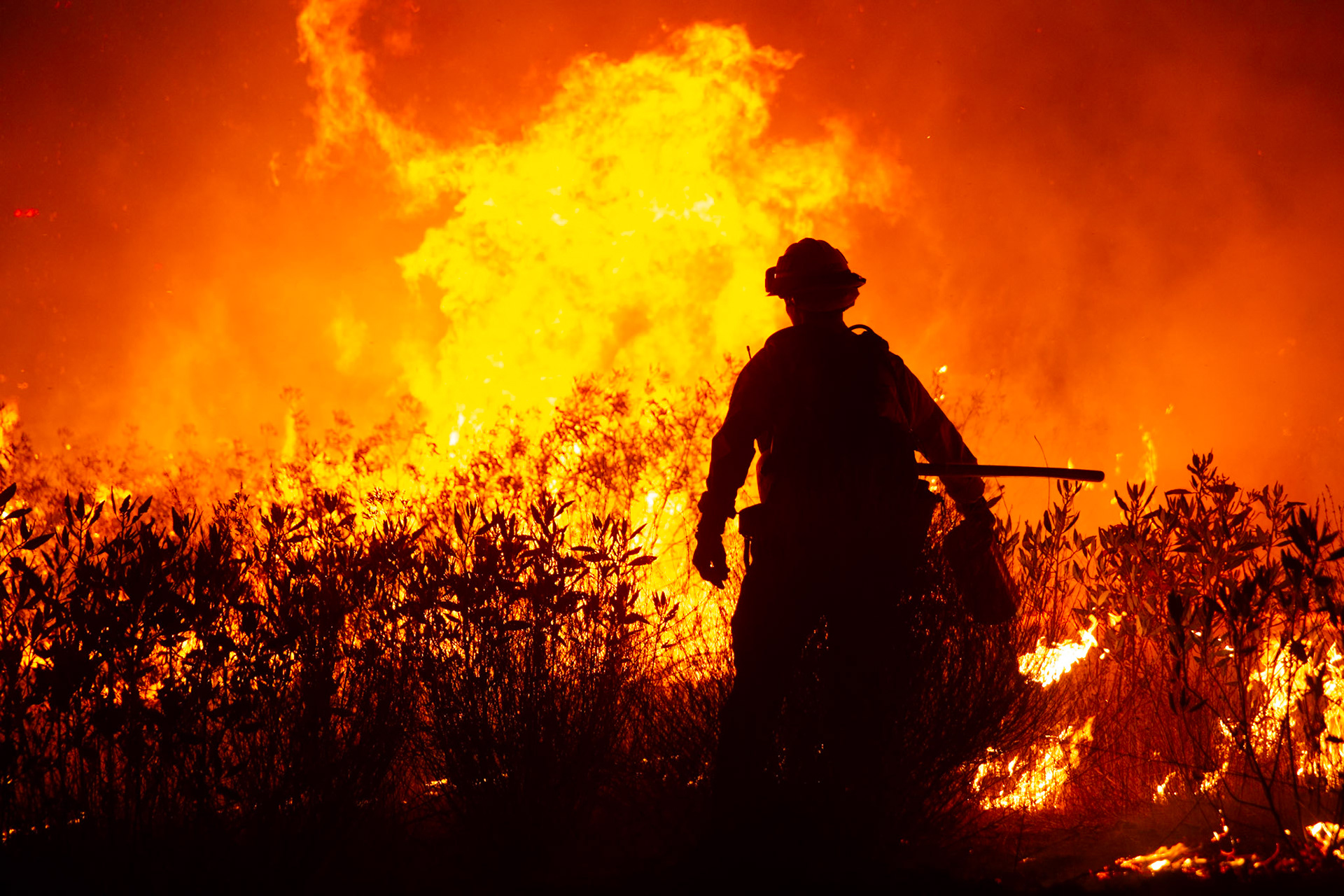 Firefighters perform backfire to prevent the wildfire from reaching nearby homes. The Canyon Fire started around 1:30pm on August 7, 2025 and rapidly spread to 600 acres in less than two hours. Aided by the heatwave in Southern California that reached 100 degrees Ferehnehit, dry vegetation, and steep topology; the fire is 0% contained and 4,800 acres as of Thursday night.