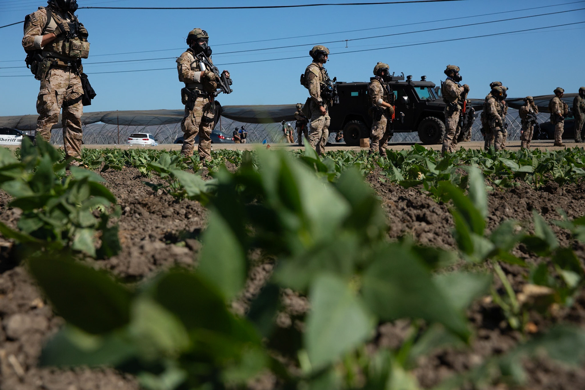 DHS agents from multiple subsidiaries conducts a mass raid at a farm in Camarillo, Calif. on July 10, 2025.