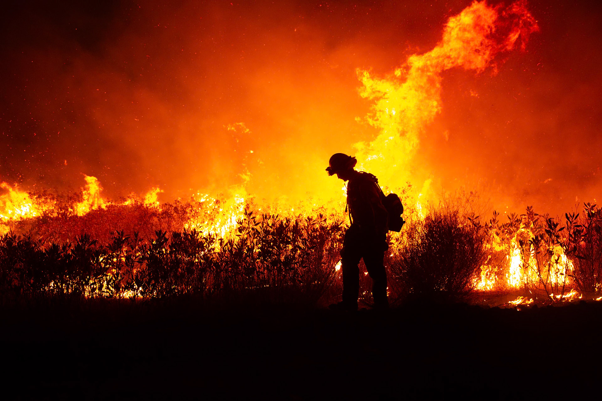 Firefighters perform backfire to prevent the wildfire from reaching nearby homes. The Canyon Fire started around 1:30pm on August 7, 2025 and rapidly spread to 600 acres in less than two hours. Aided by the heatwave in Southern California that reached 100 degrees Ferehnehit, dry vegetation, and steep topology; the fire is 0% contained and 4,800 acres as of Thursday night.