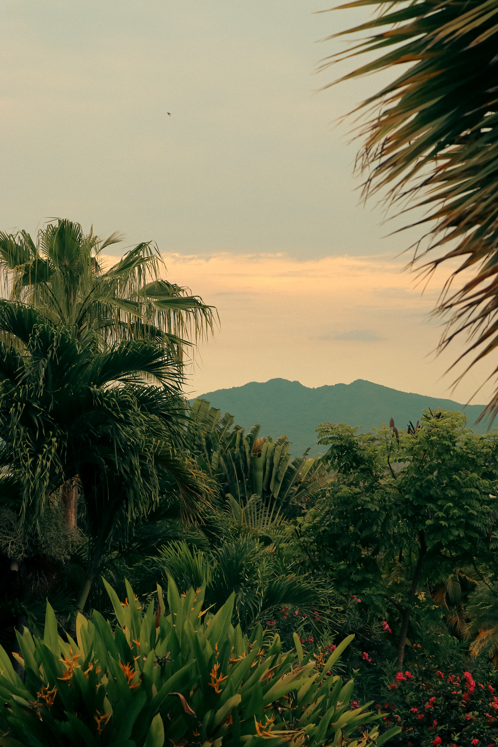 Welcome to the Jungle