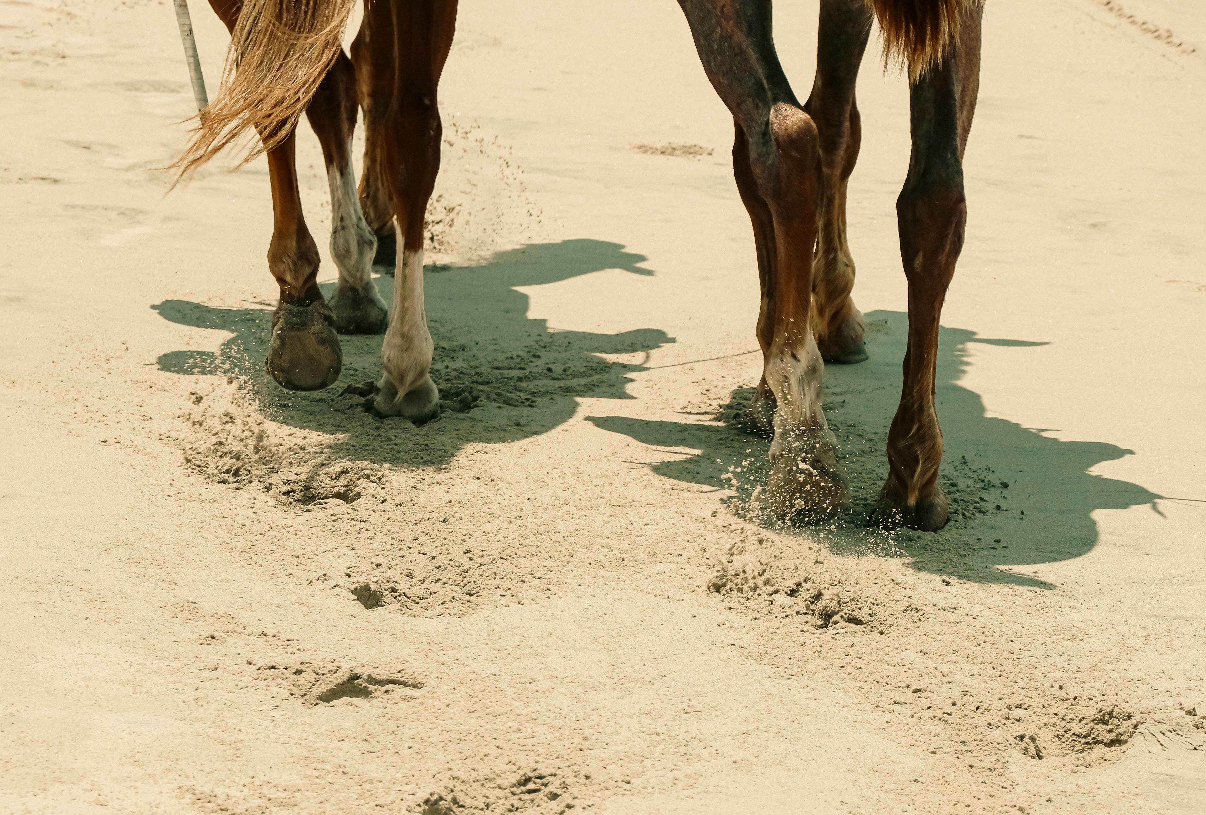 Treading Along