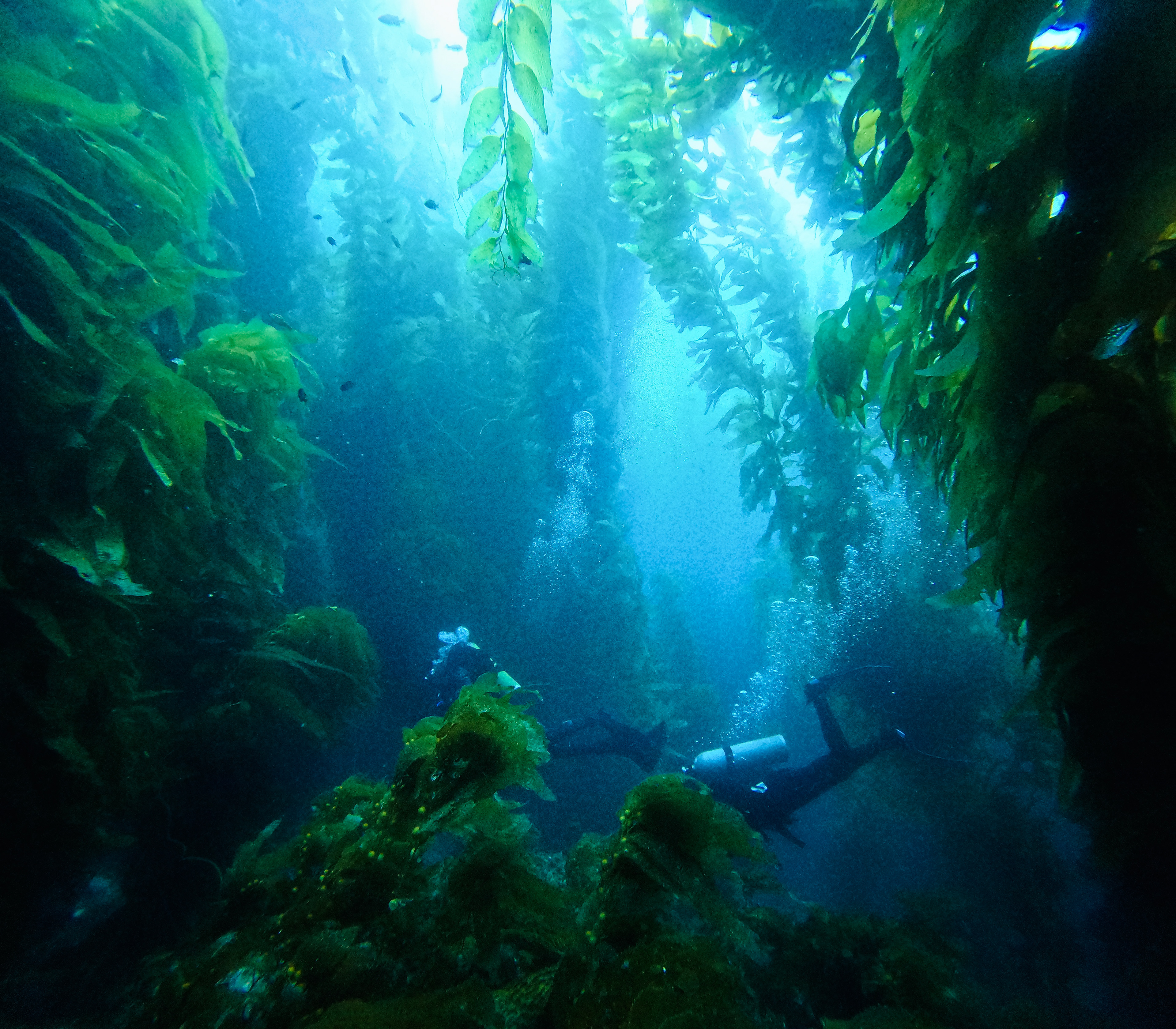 The Deep Dive